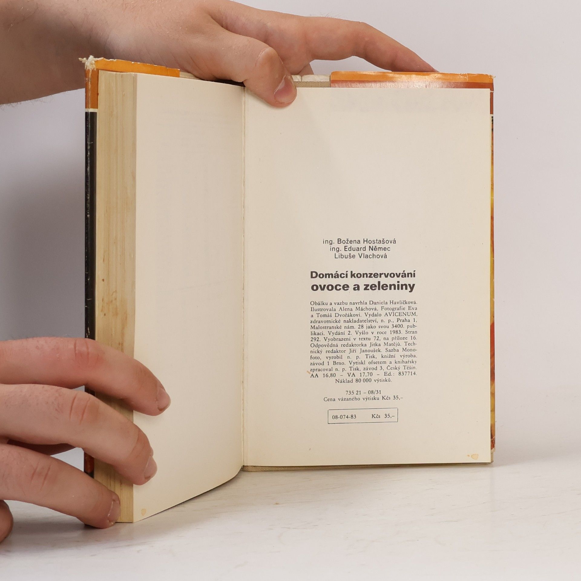 Autorenkollektiv Domácí konzervování ovoce a zeleniny