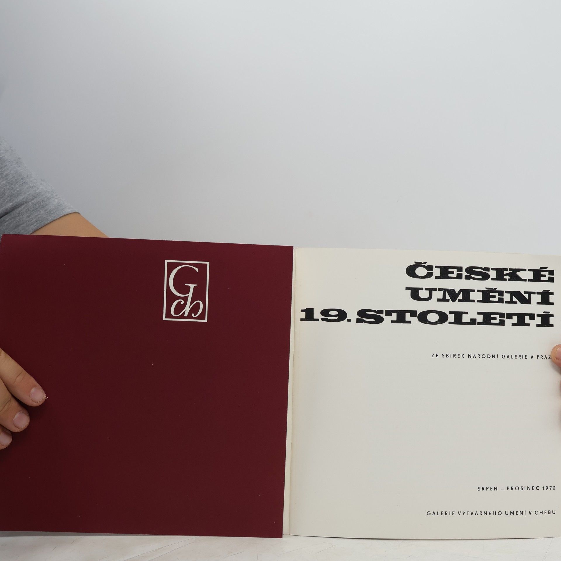 Václav Procházka České umění 19. století