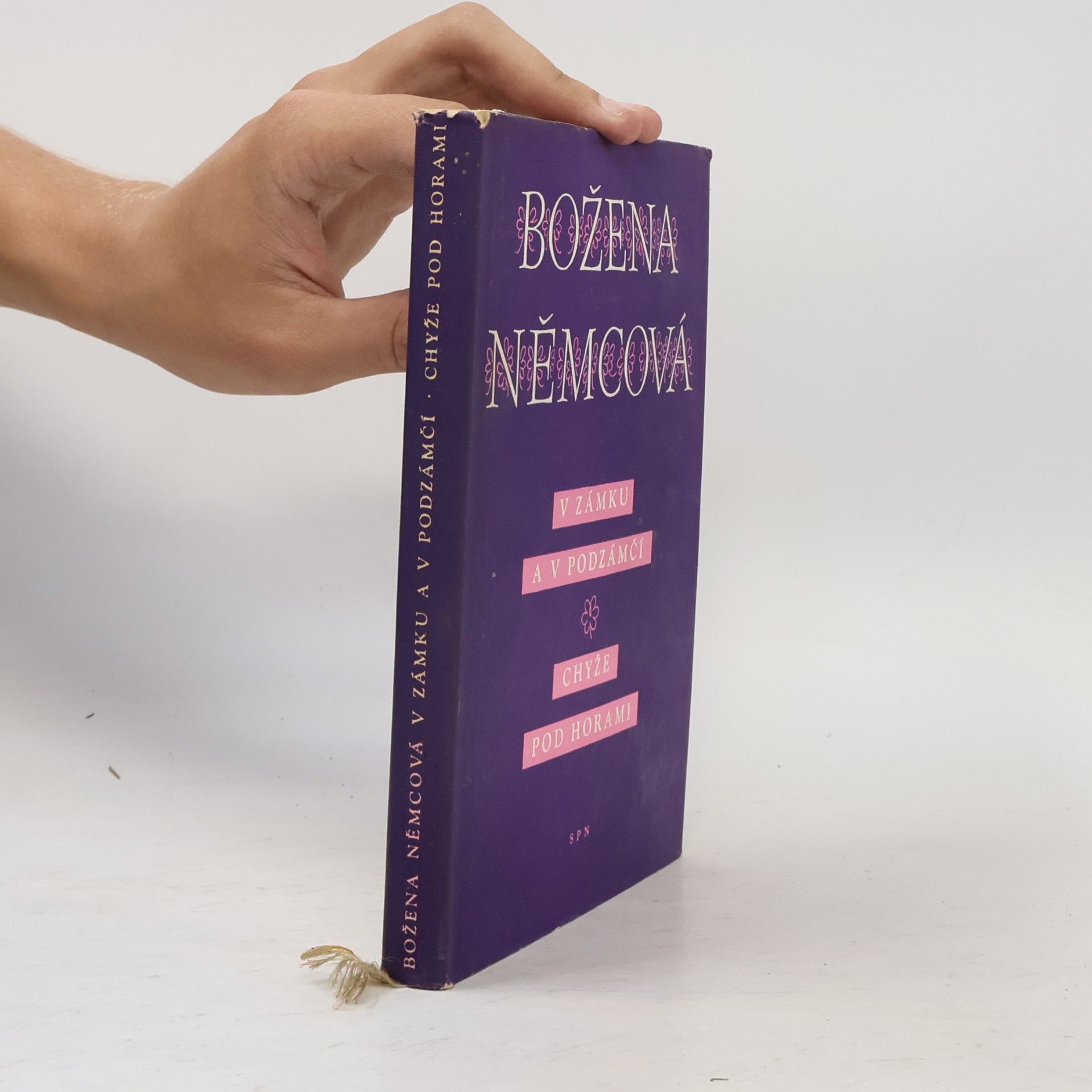 Božena Němcová V Zámku a v podzámčí. Chyže pod horami