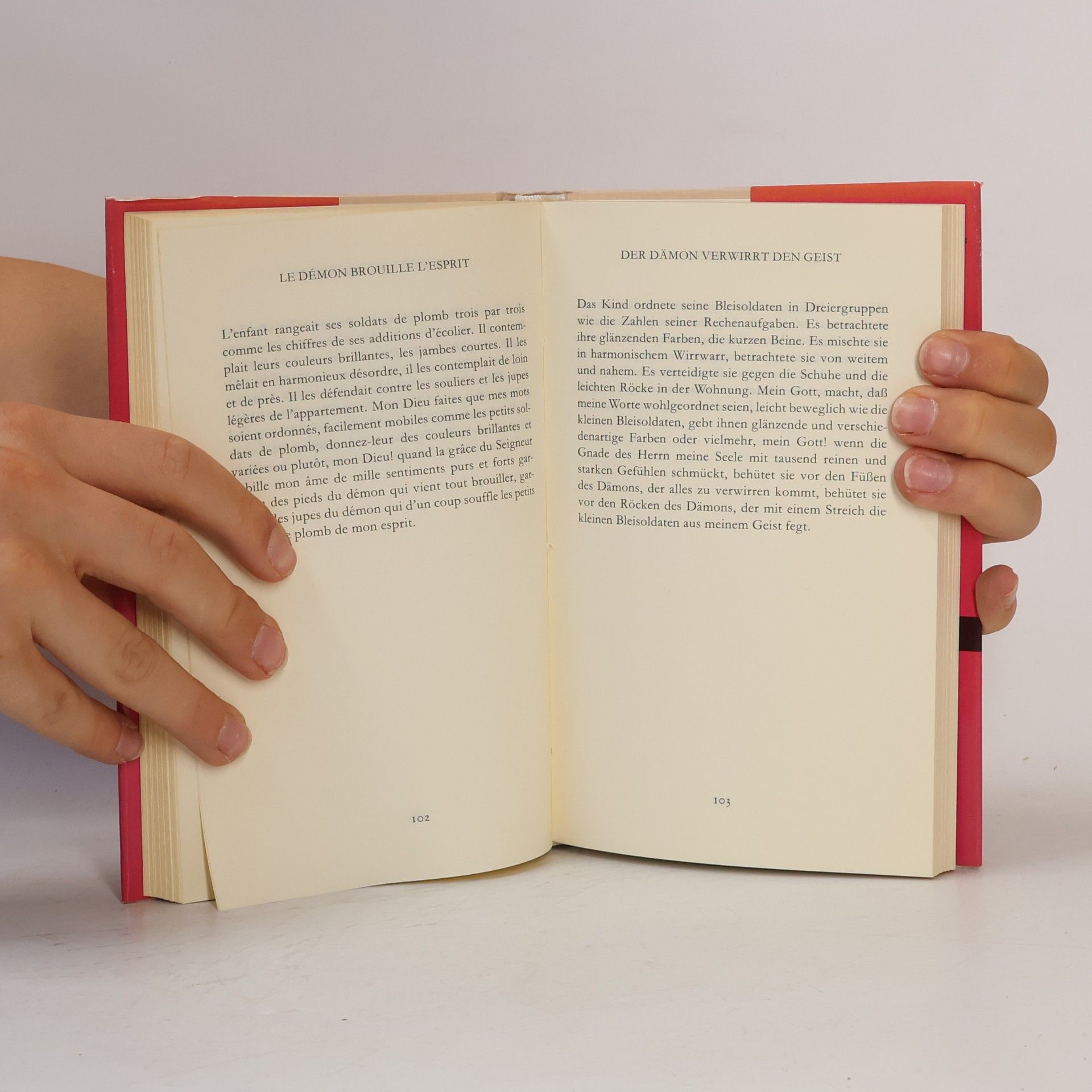 Una Pfau Bibliothek Suhrkamp: Höllenvisionen