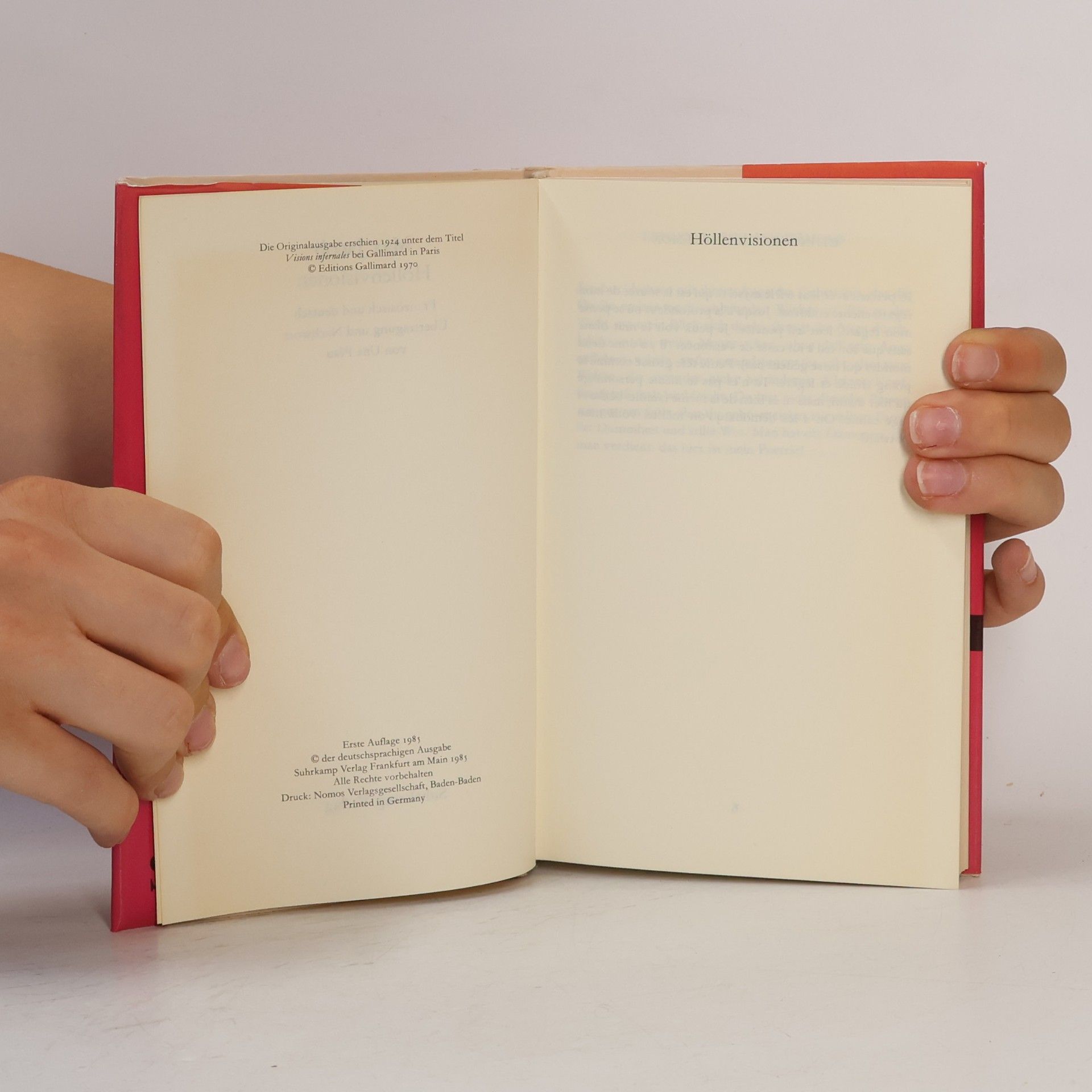 Una Pfau Bibliothek Suhrkamp: Höllenvisionen