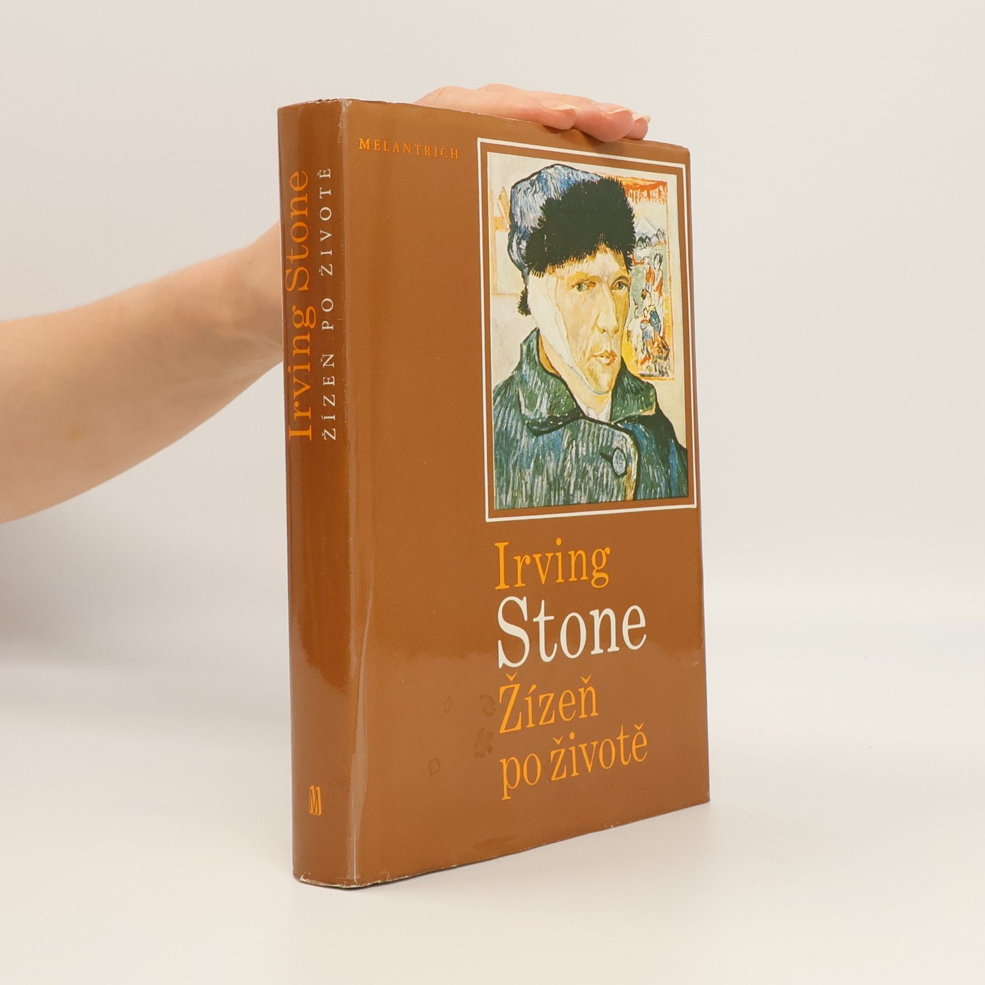 Irving Stone Žízeň po životě