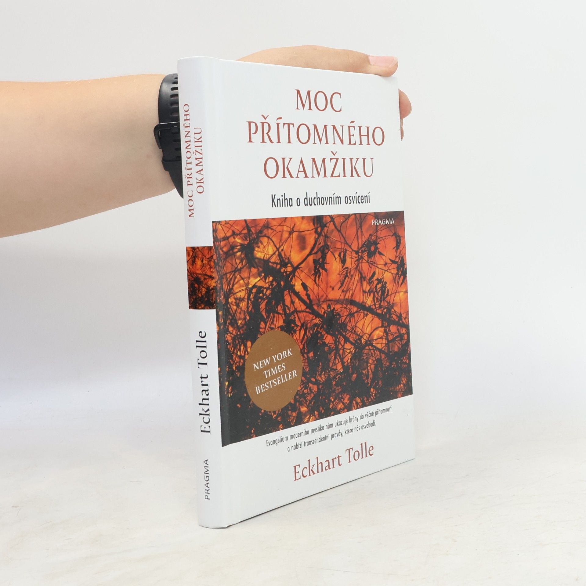 Eckhart Tolle Moc přítomného okamžiku
