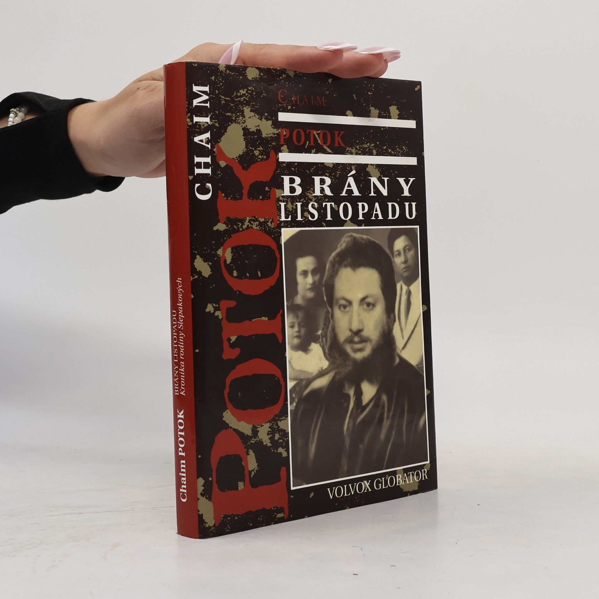 Chaim Potok Brány listopadu