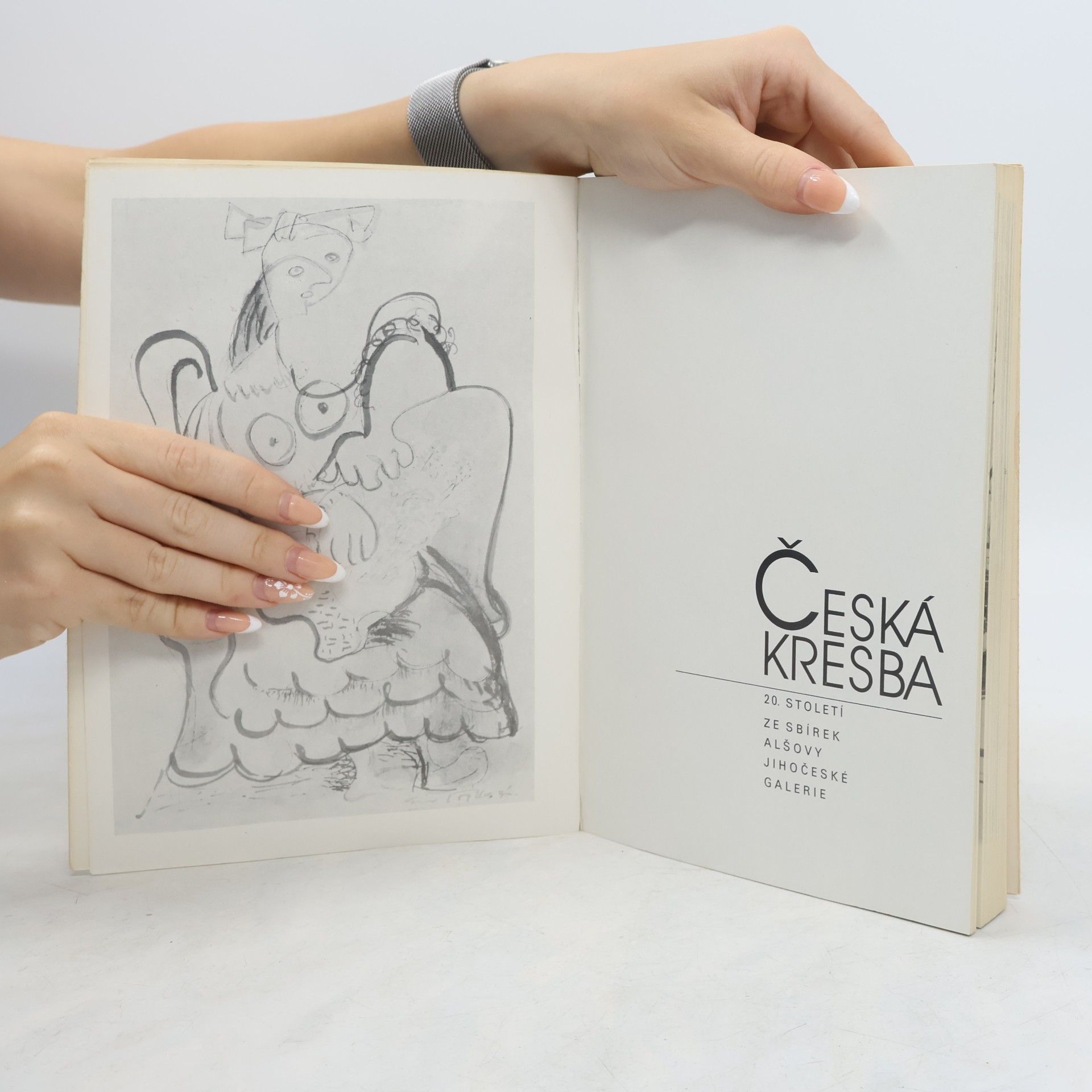 Autorenkollektiv Česká kresba 20. století. Ze sbírek Alšovy jihočeské galerie