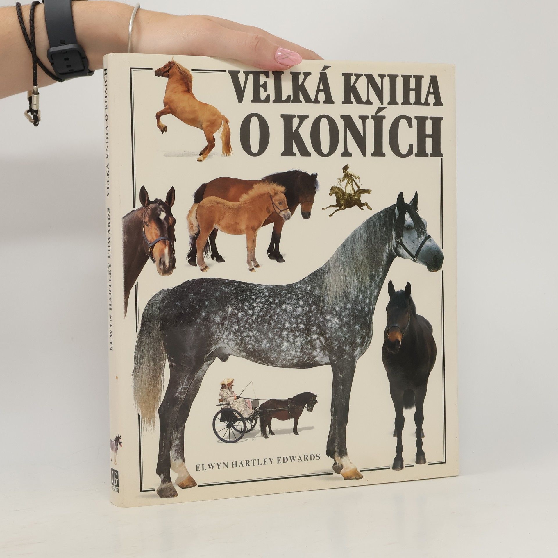 Elwyn Hartley Edwards Velká kniha o koních