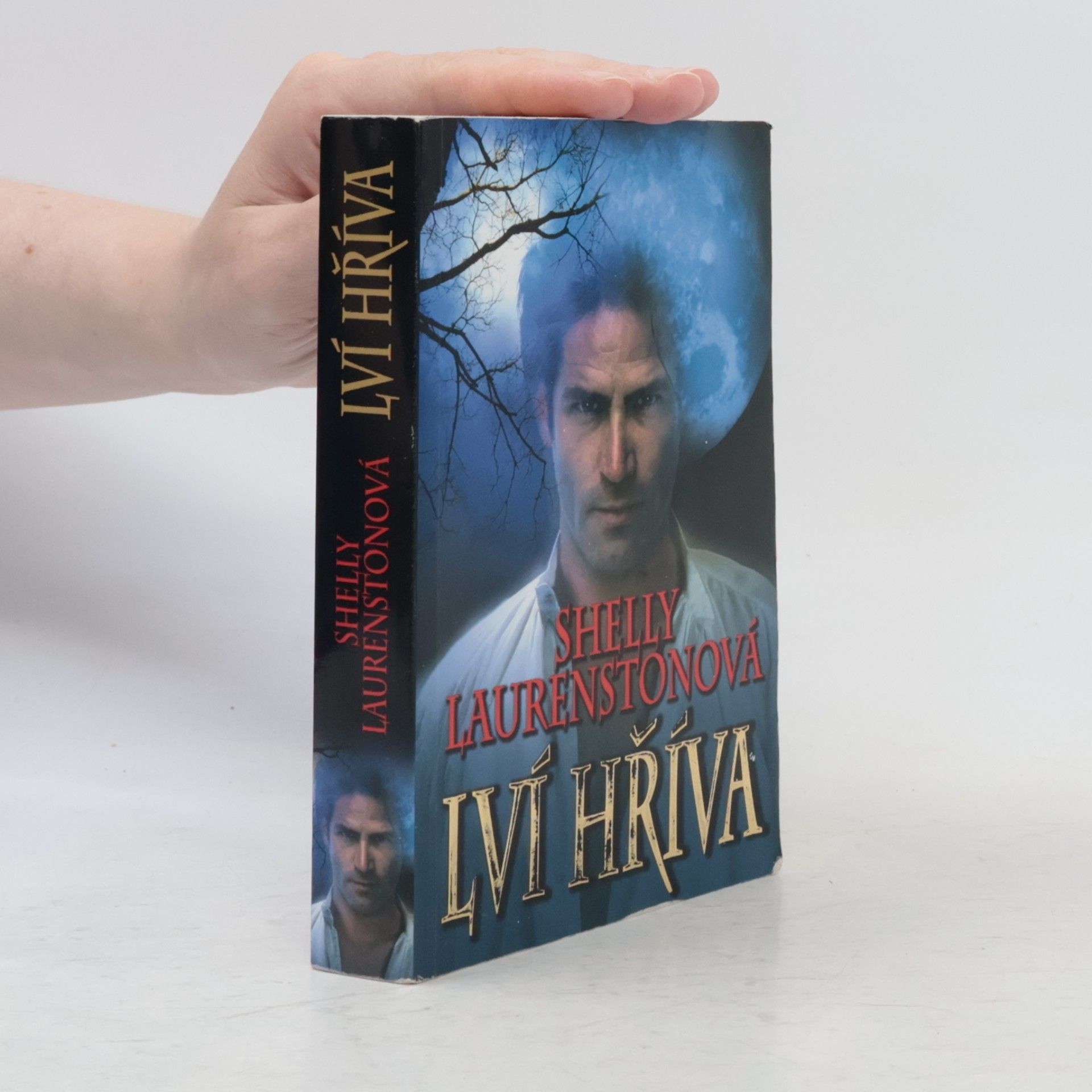 Shelly Laurenston Lví hříva