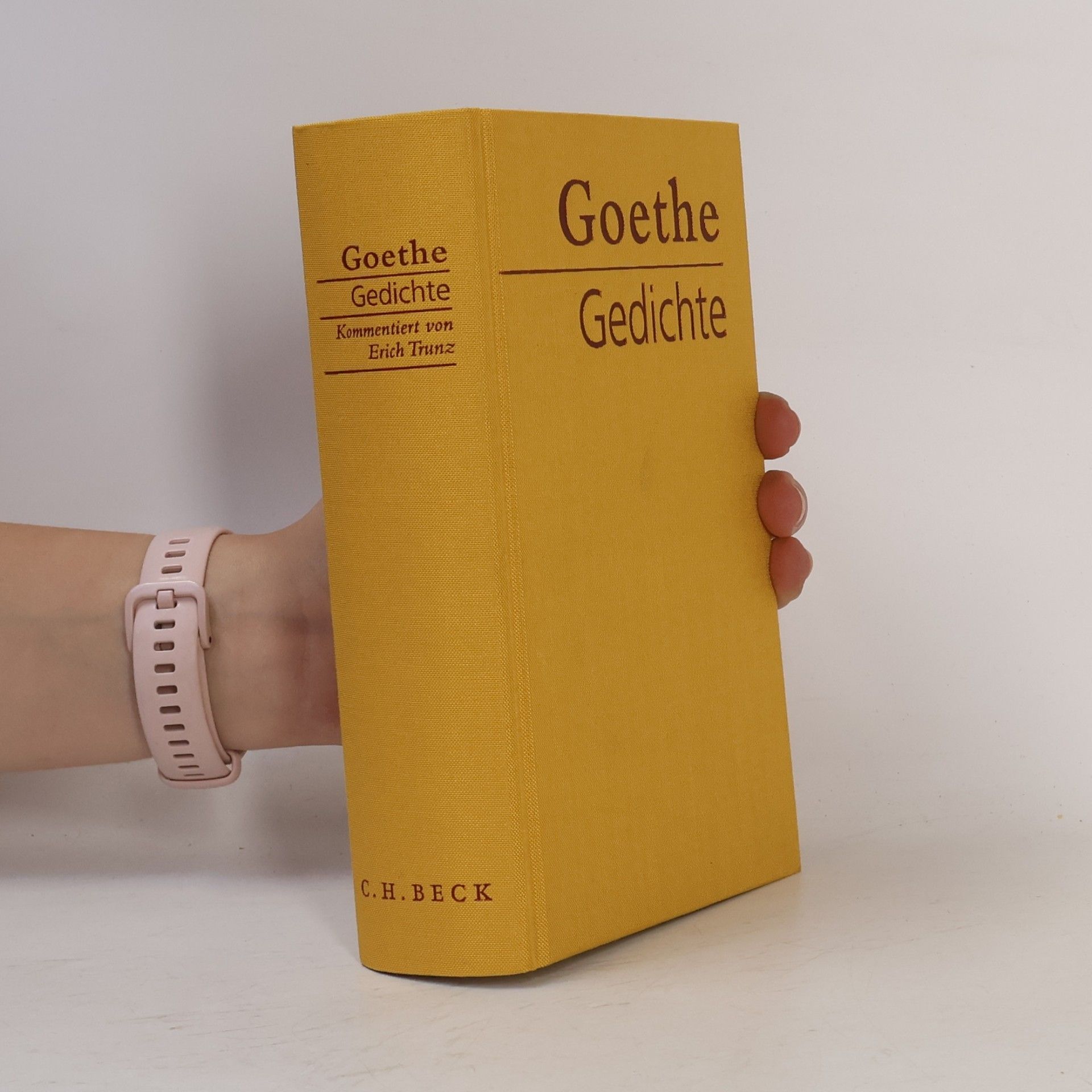 Johann Wolfgang von Goethe Gedichte