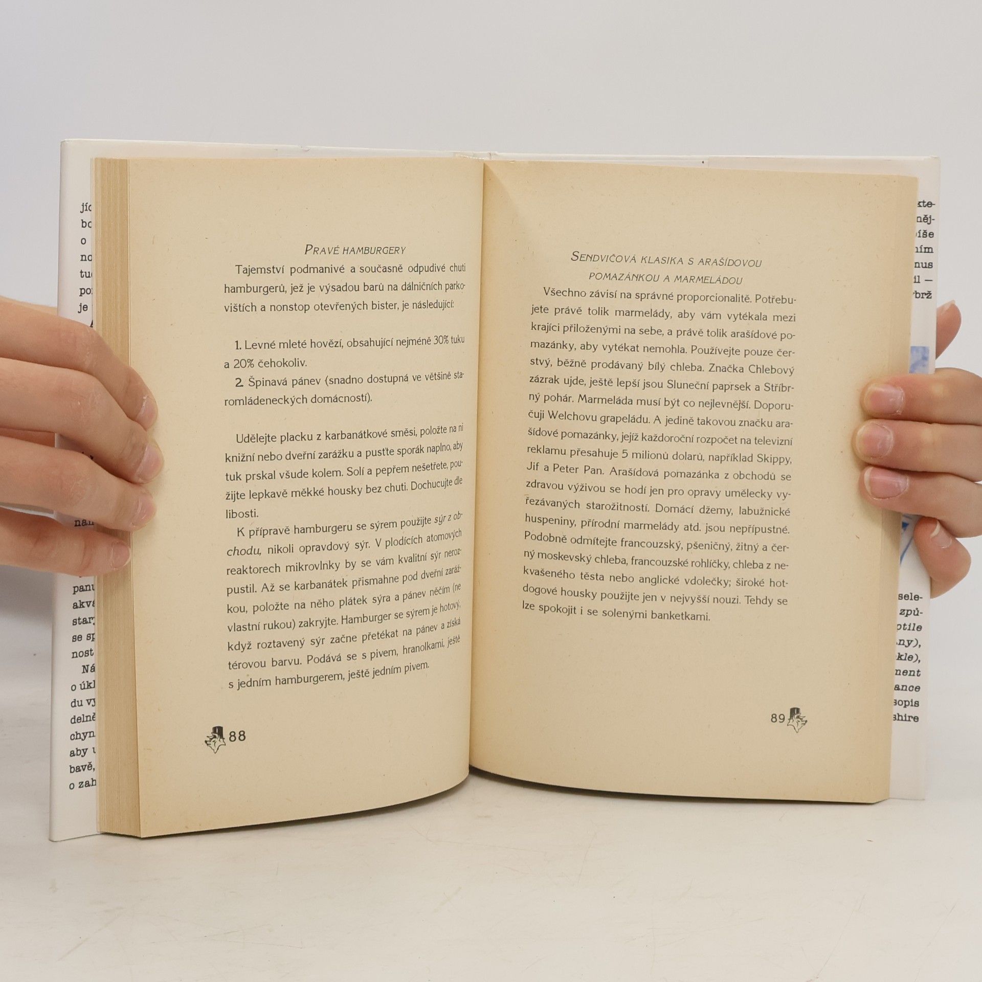 P. J. O. Rourke Průvodce domácností starého mládence