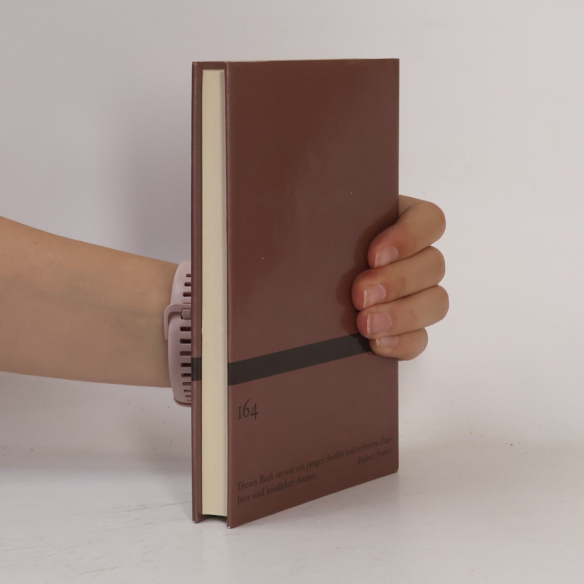 Marcel Proust Tage der Freuden