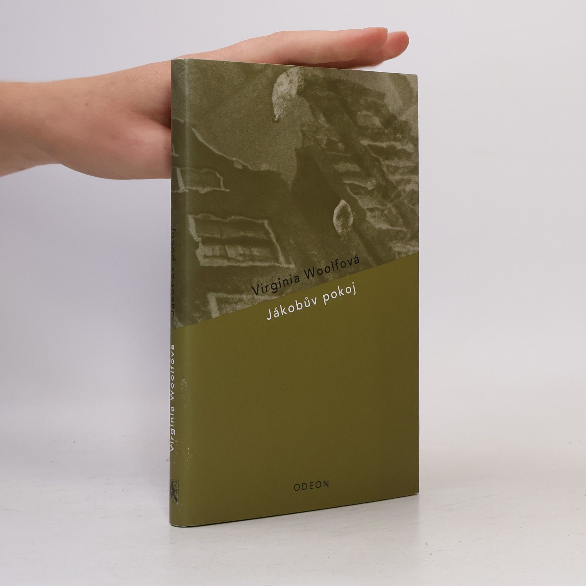 Virginia Woolf Jákobův pokoj