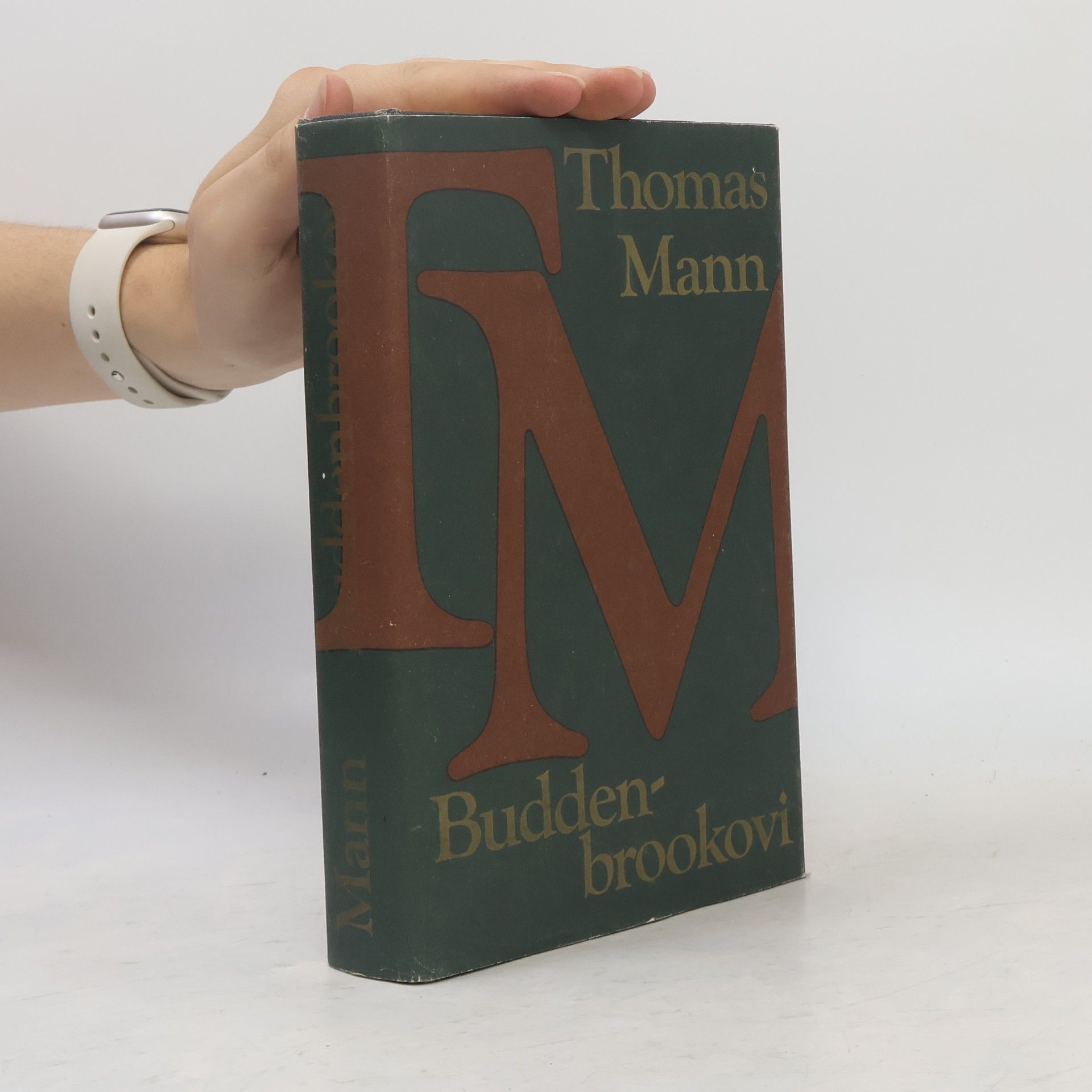 Thomas Mann Buddenbrookovi