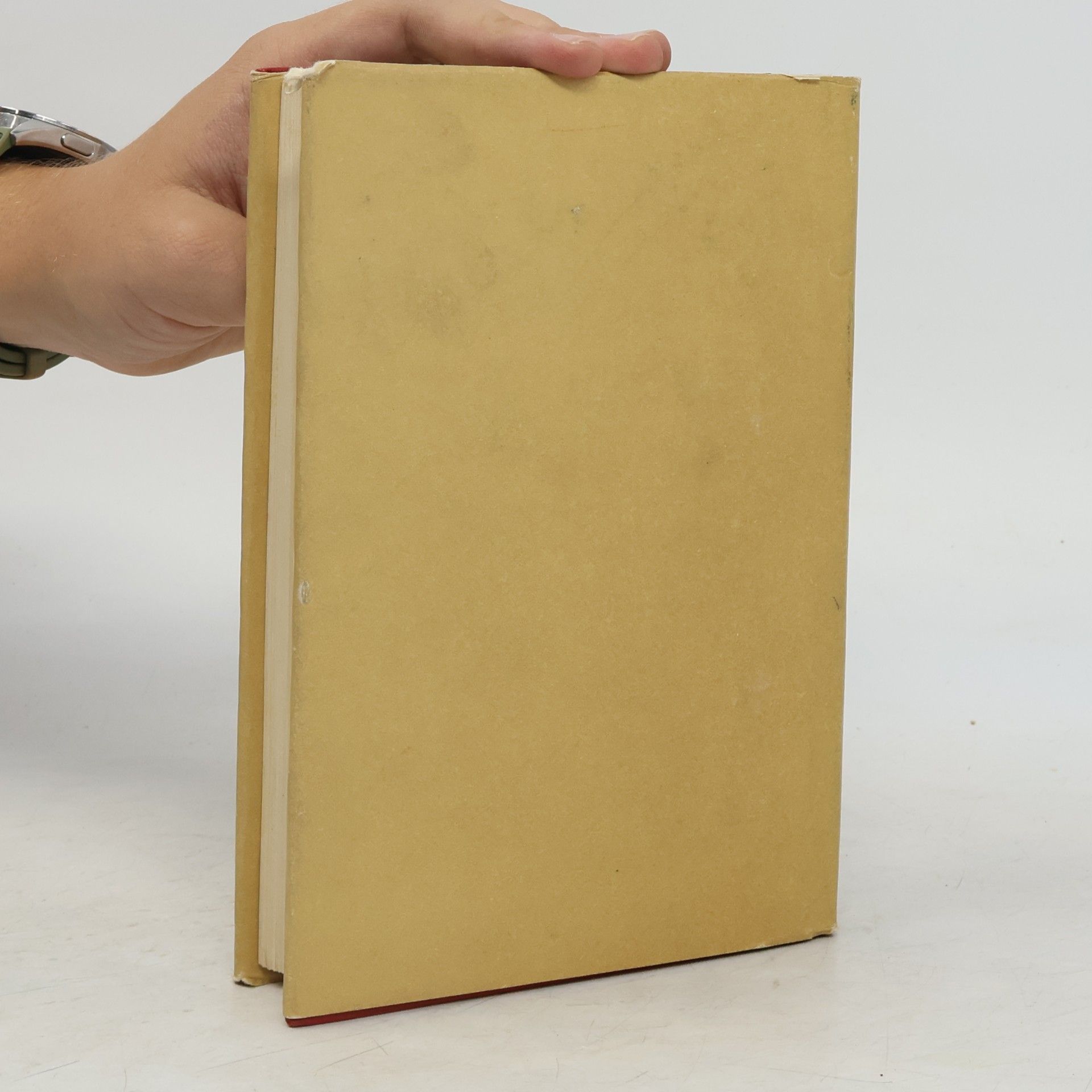 Maxim Gorky Aufsätze und Pamphlete