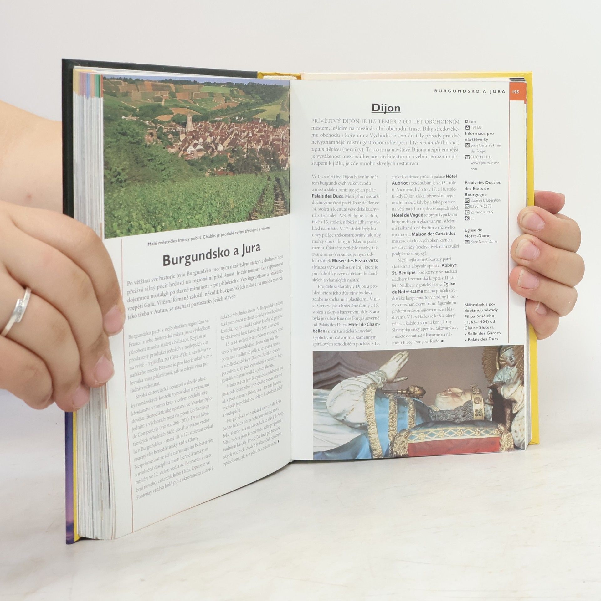 Rosemary Bailey Francie. Velký průvodce National Geographic