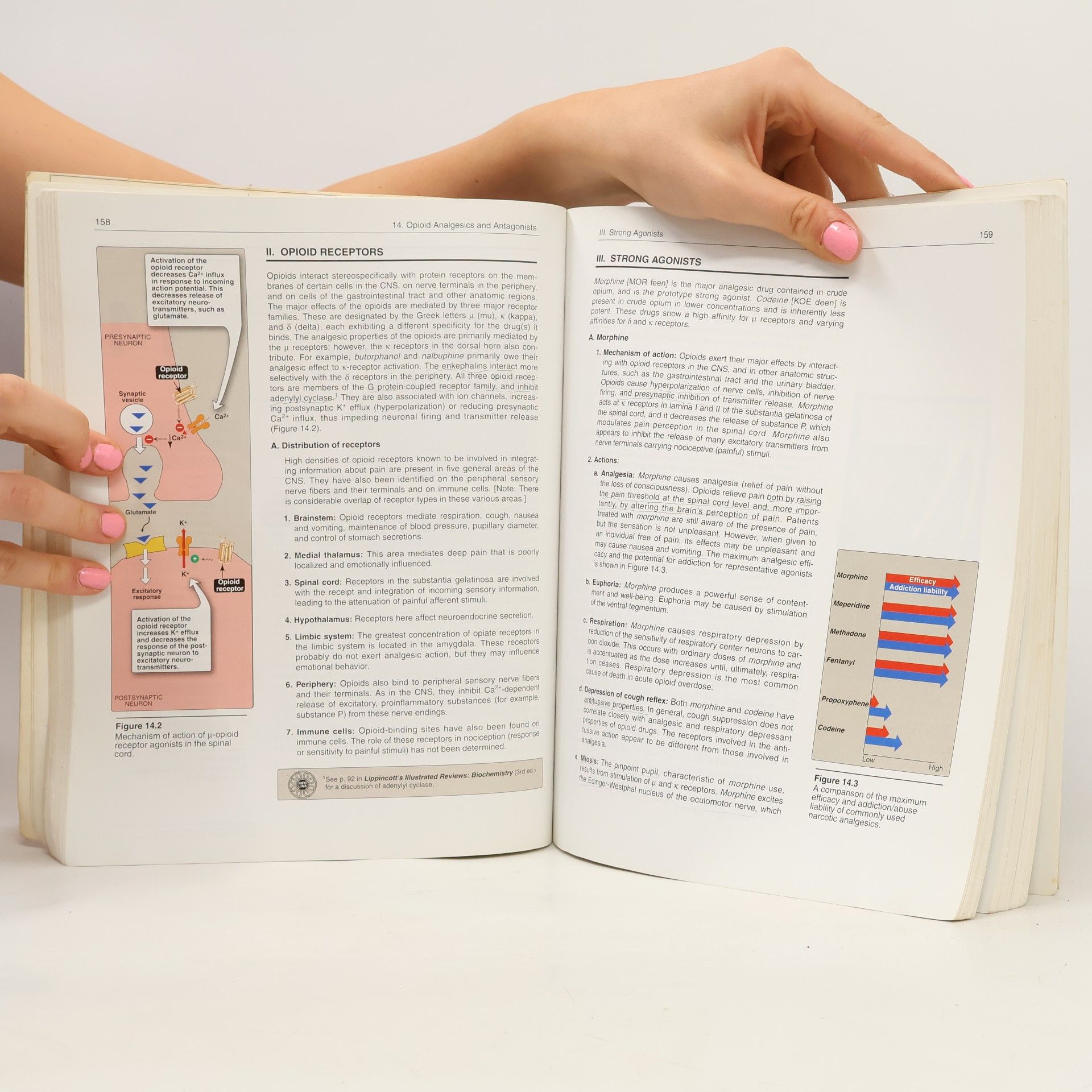 Richard D. Howland Lippincott's Illustrated Reviews