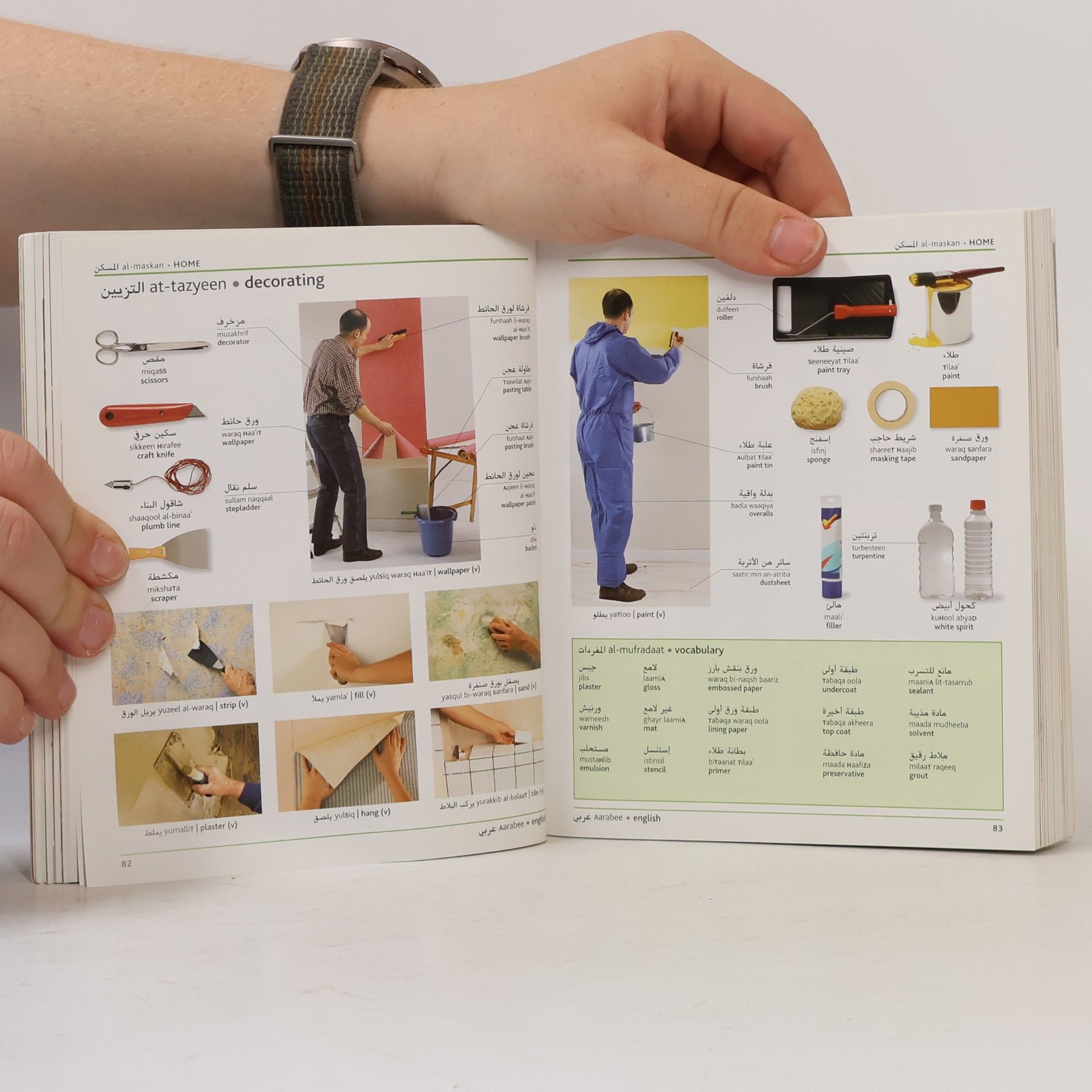 Autorenkollektiv Arabic-English Visual Bilingual Dictionary