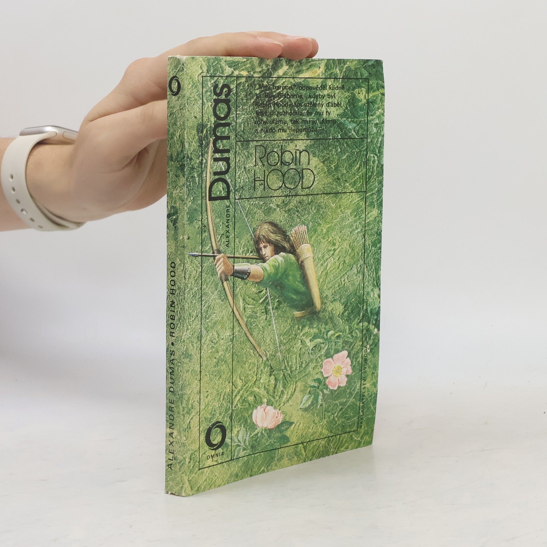 Alexandre Dumas Robin Hood