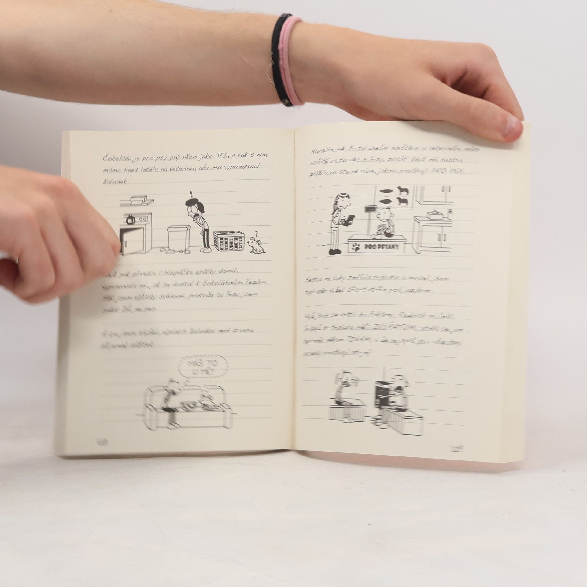 Jeff Kinney Deník malého poseroutky 9. Výlet za všechny peníze