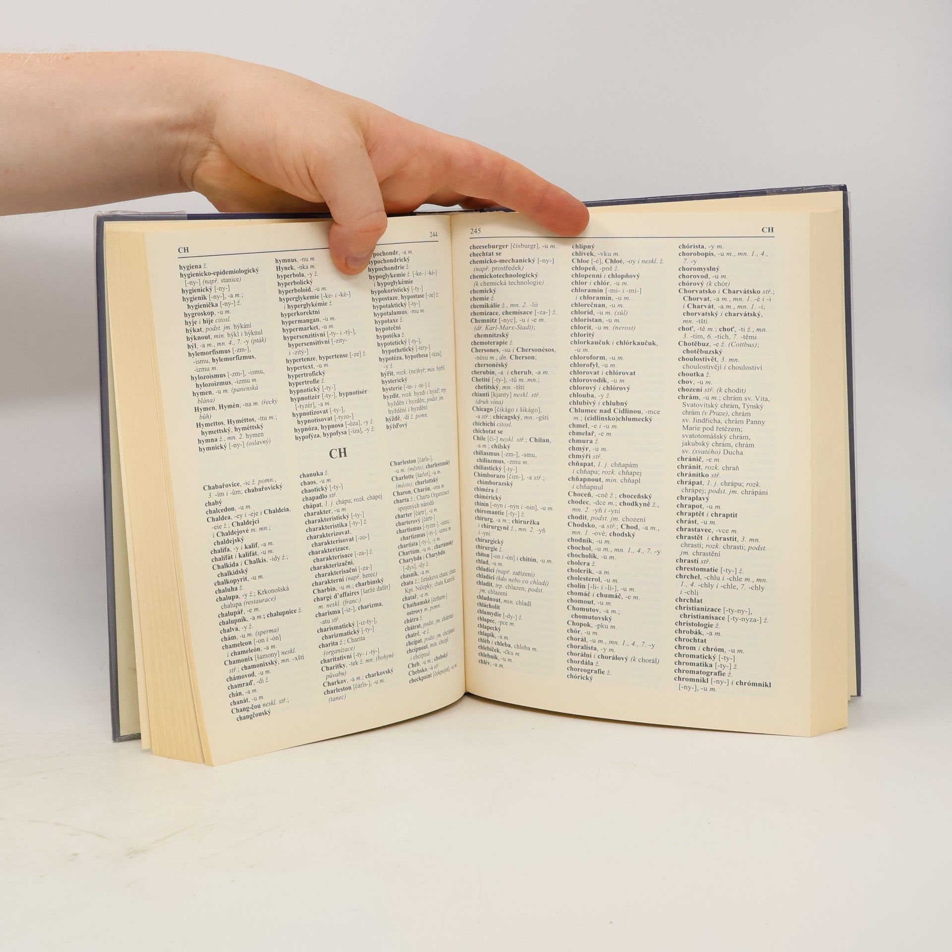 Autores varios Pravidla českého pravopisu s výkladem mluvnice