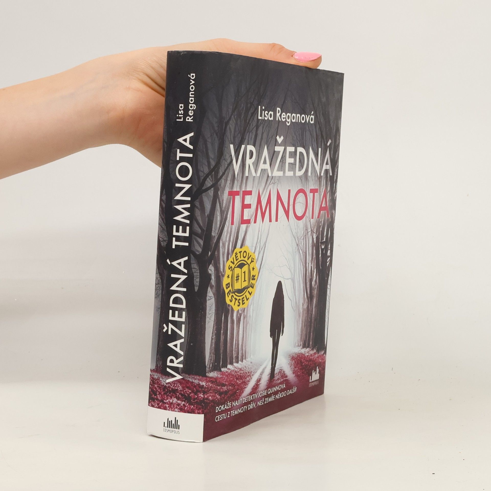 Lisa Regan Vražedná temnota