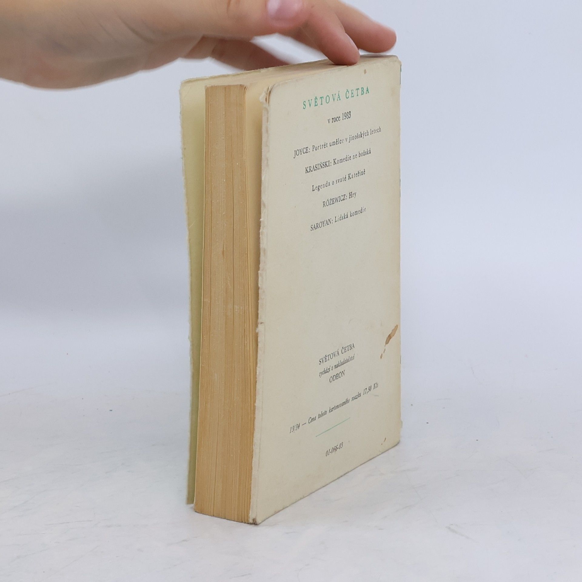 James Joyce Portrét umělce v jinošských letech