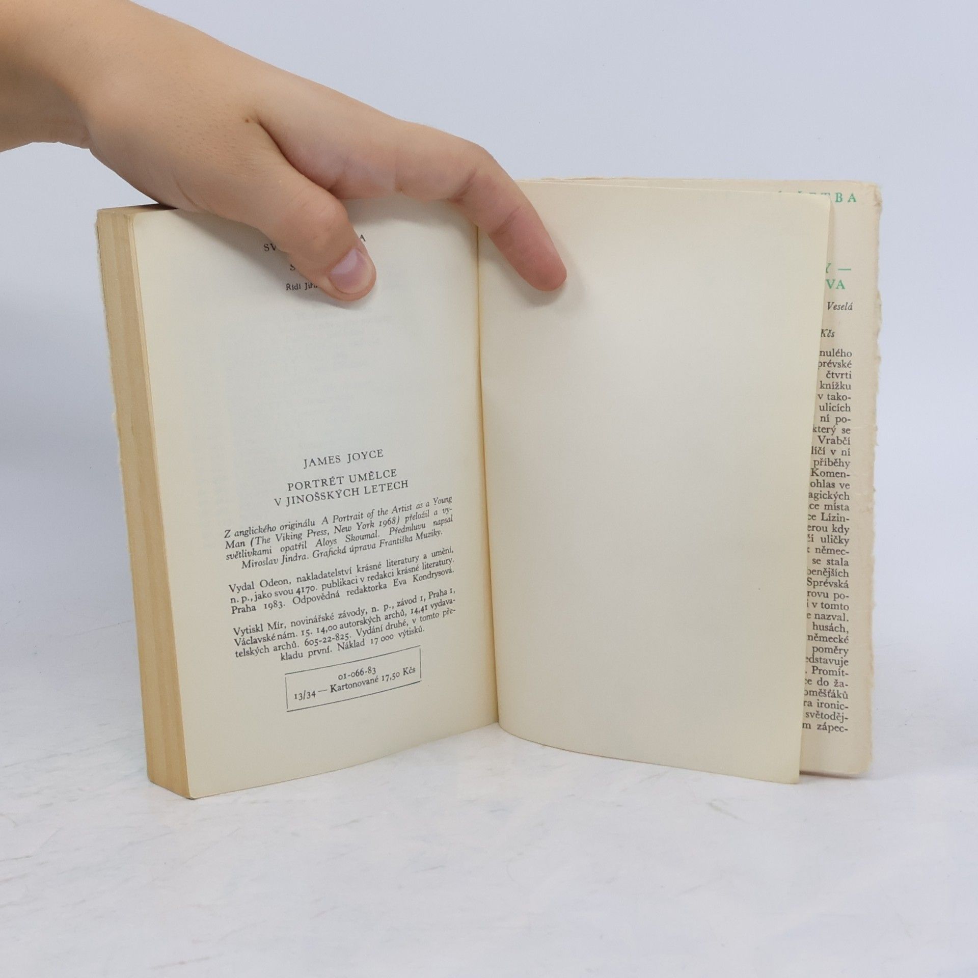 James Joyce Portrét umělce v jinošských letech