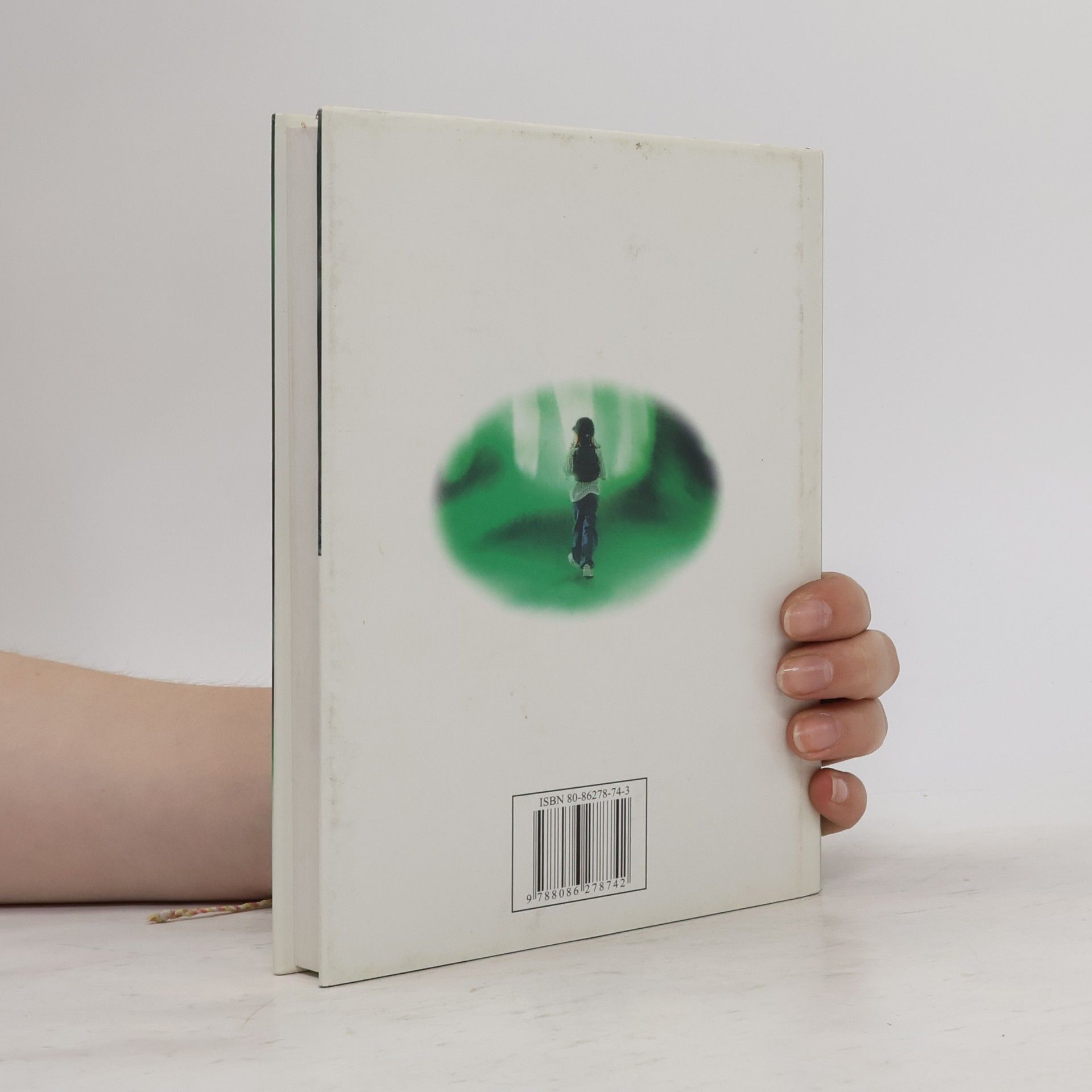 Stephen King Holčička, která měla ráda Toma Gordona