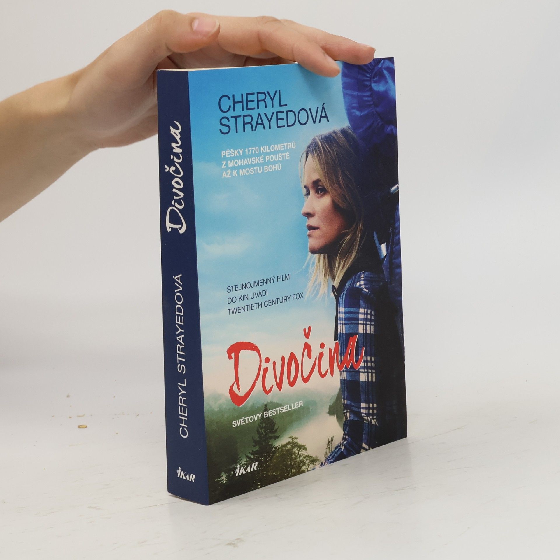 Cheryl Strayed Divočina. Pěšky 1770 kilometrů z Mohavské pouště až k mostu bohů