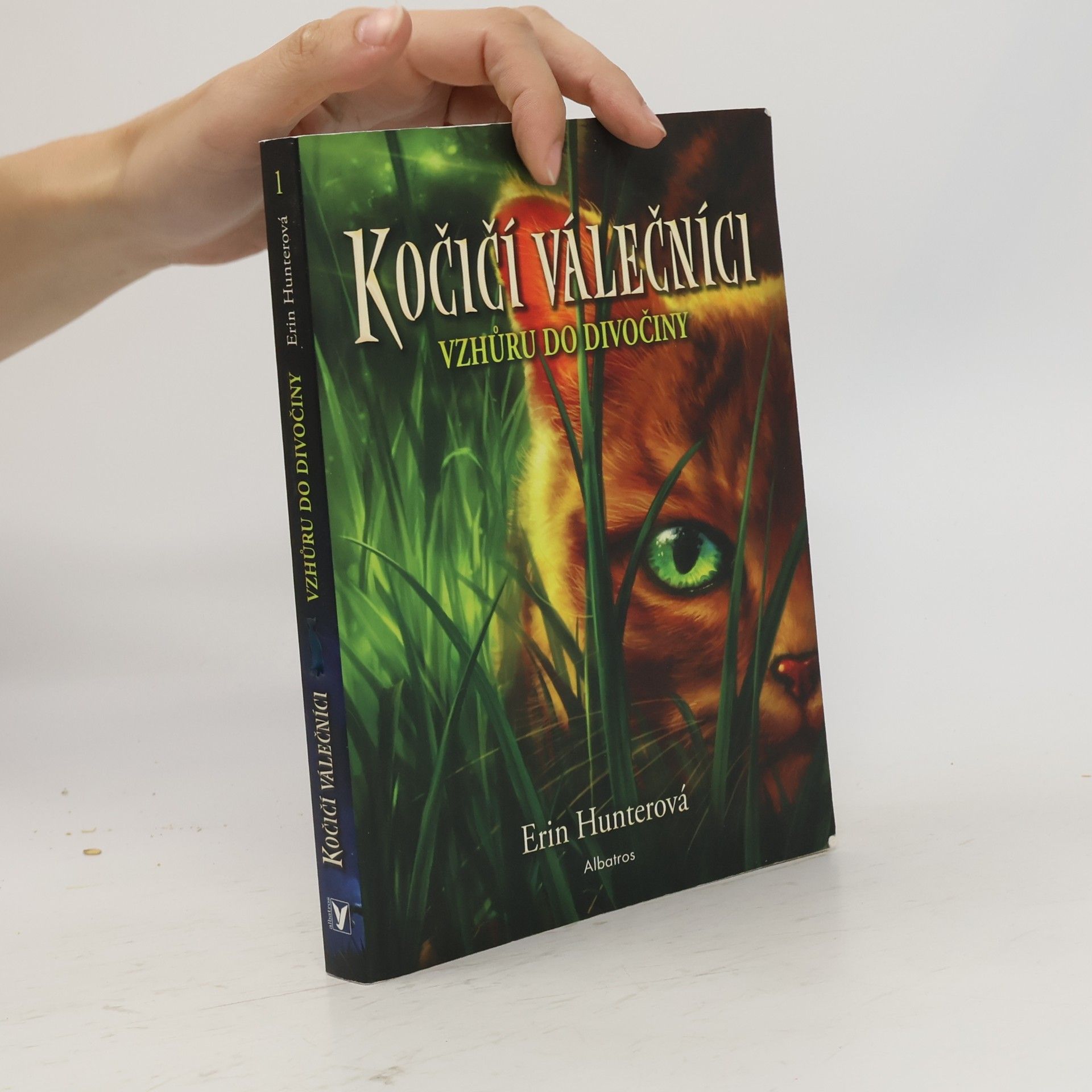 Kočičí válečníci. Vzhůru do divočiny