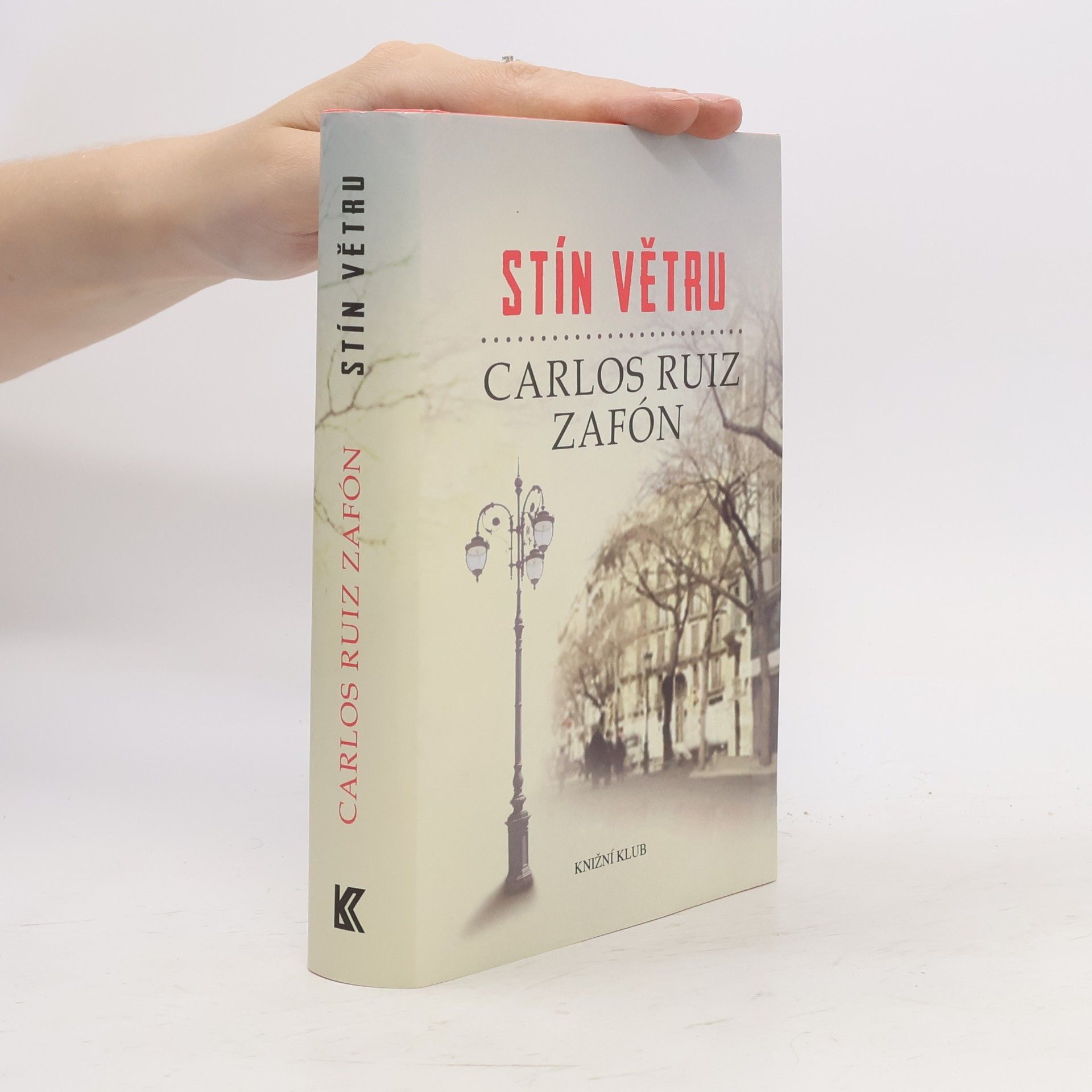 Carlos Ruiz Safon Stín větru