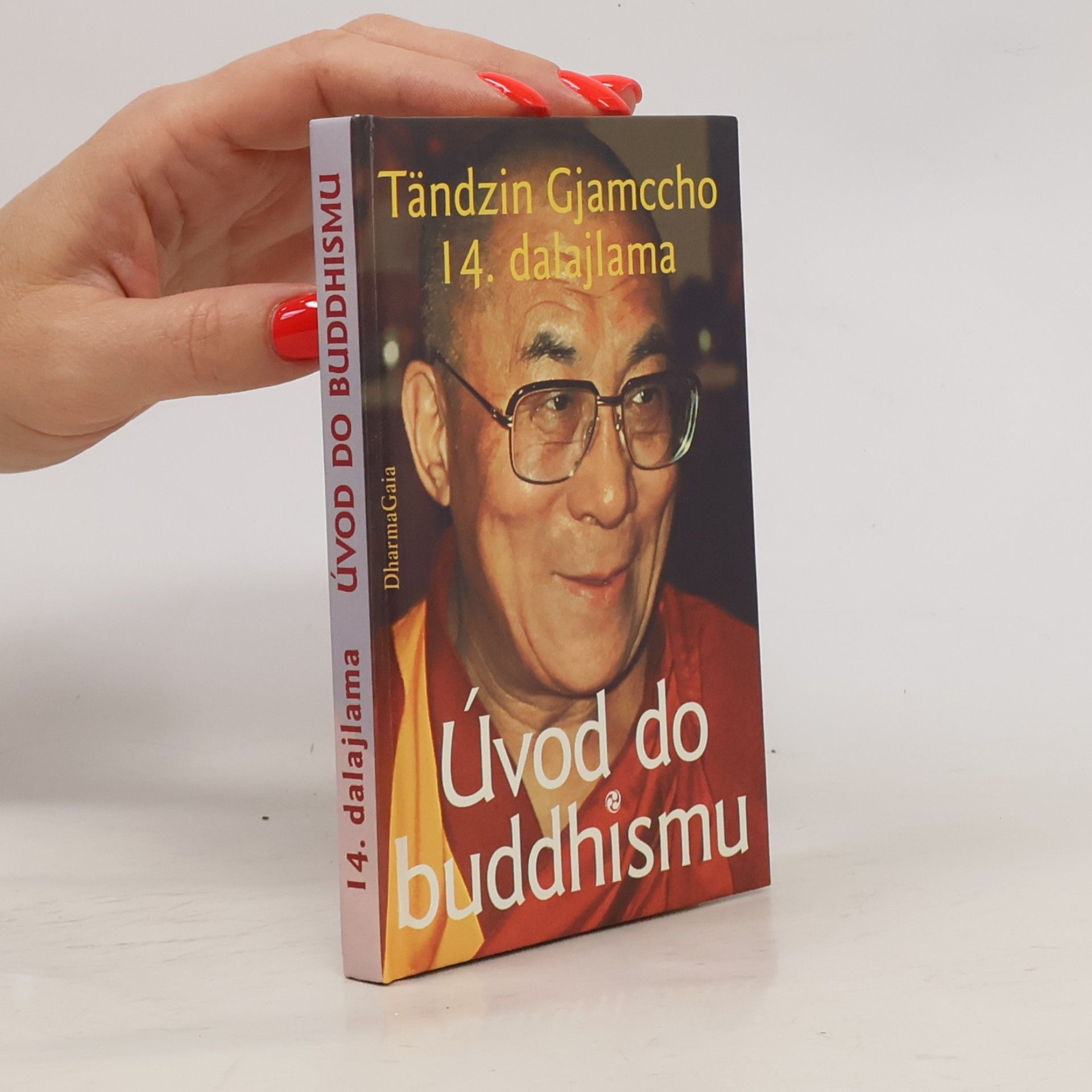 Bstan\'dzinrgyamtsho Úvod do buddhismu
