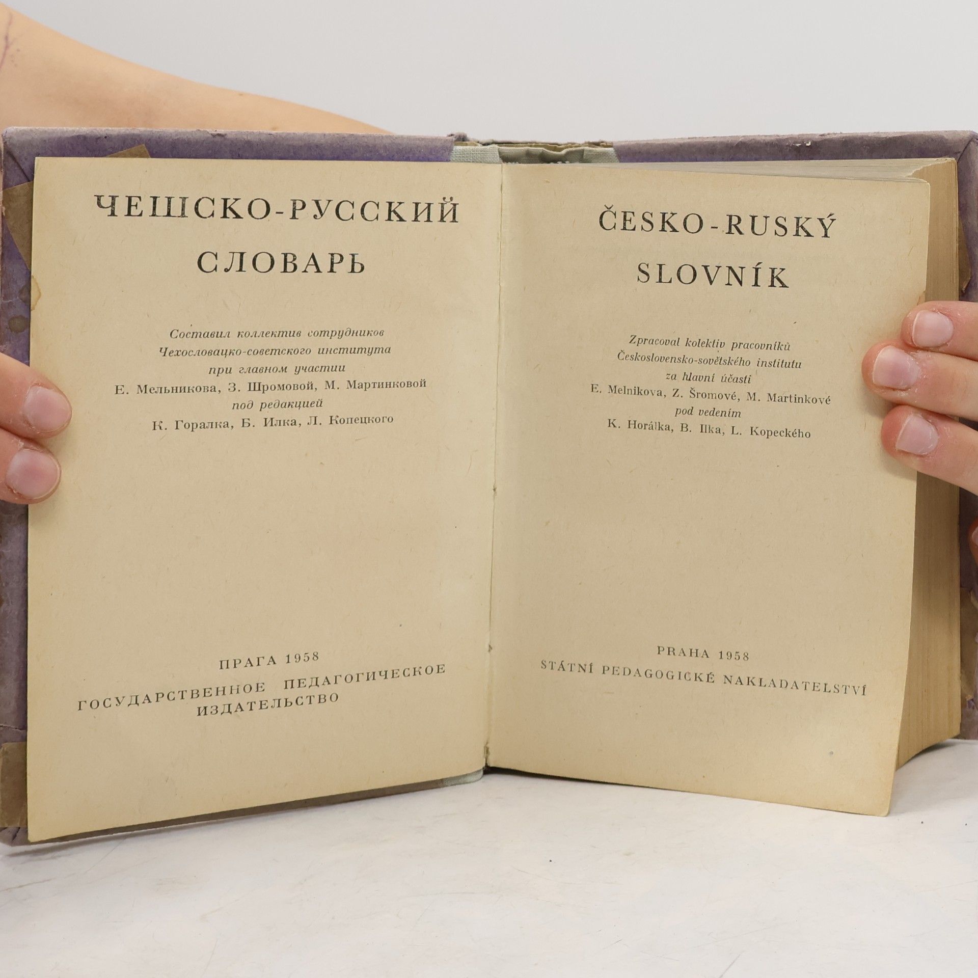Autorenkollektiv Česko - ruský slovník