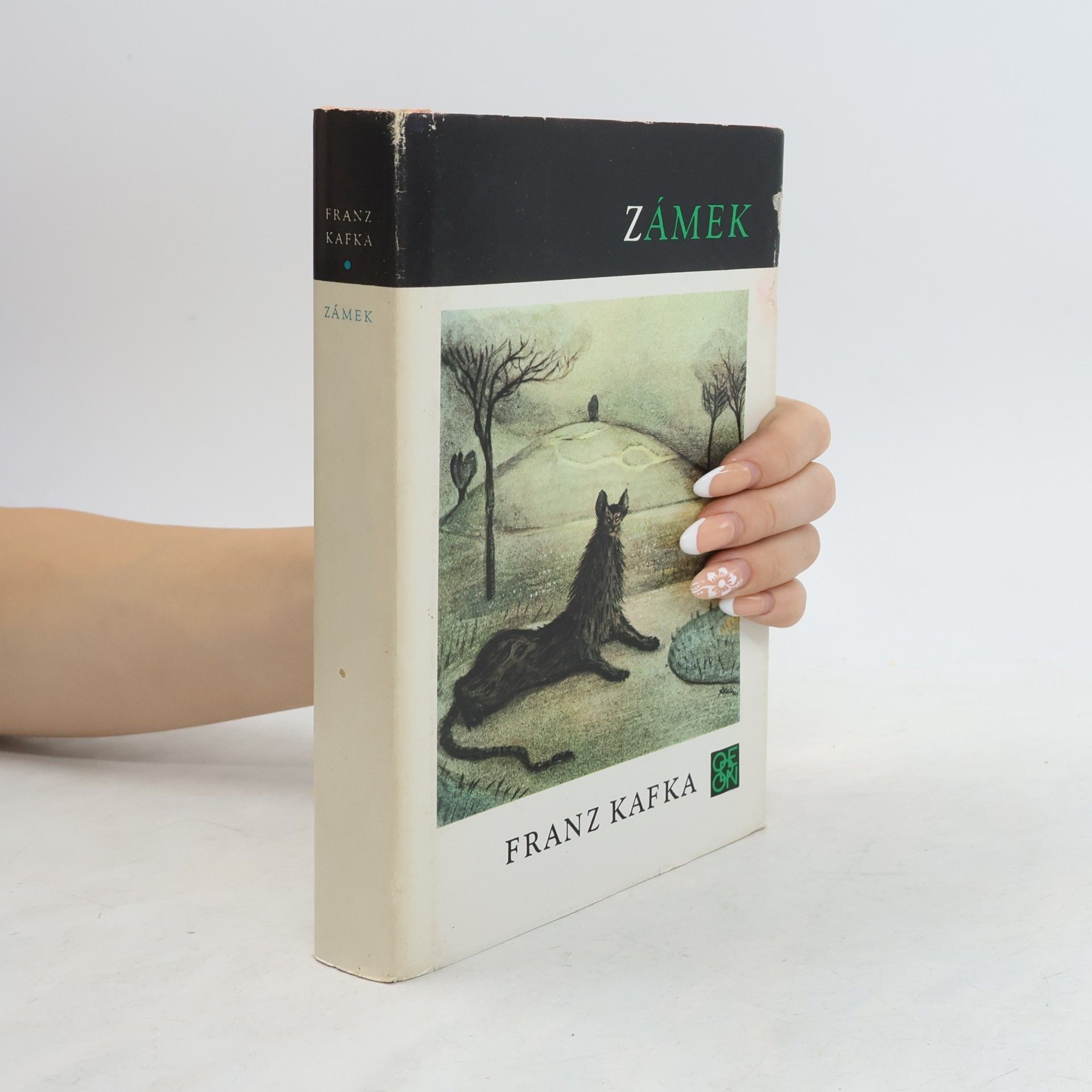 Franz Kafka Zámek