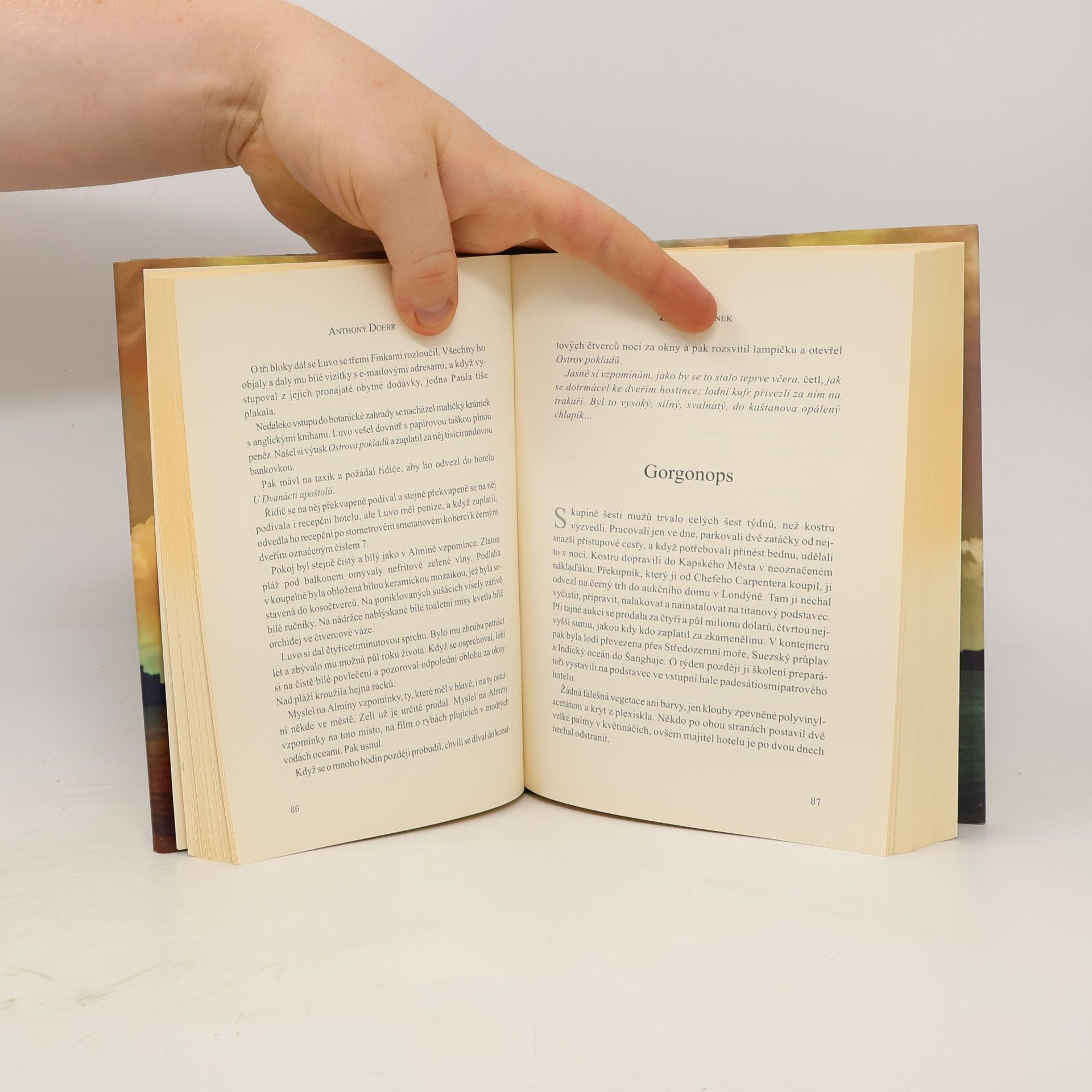 Anthony Doerr Zeď vzpomínek