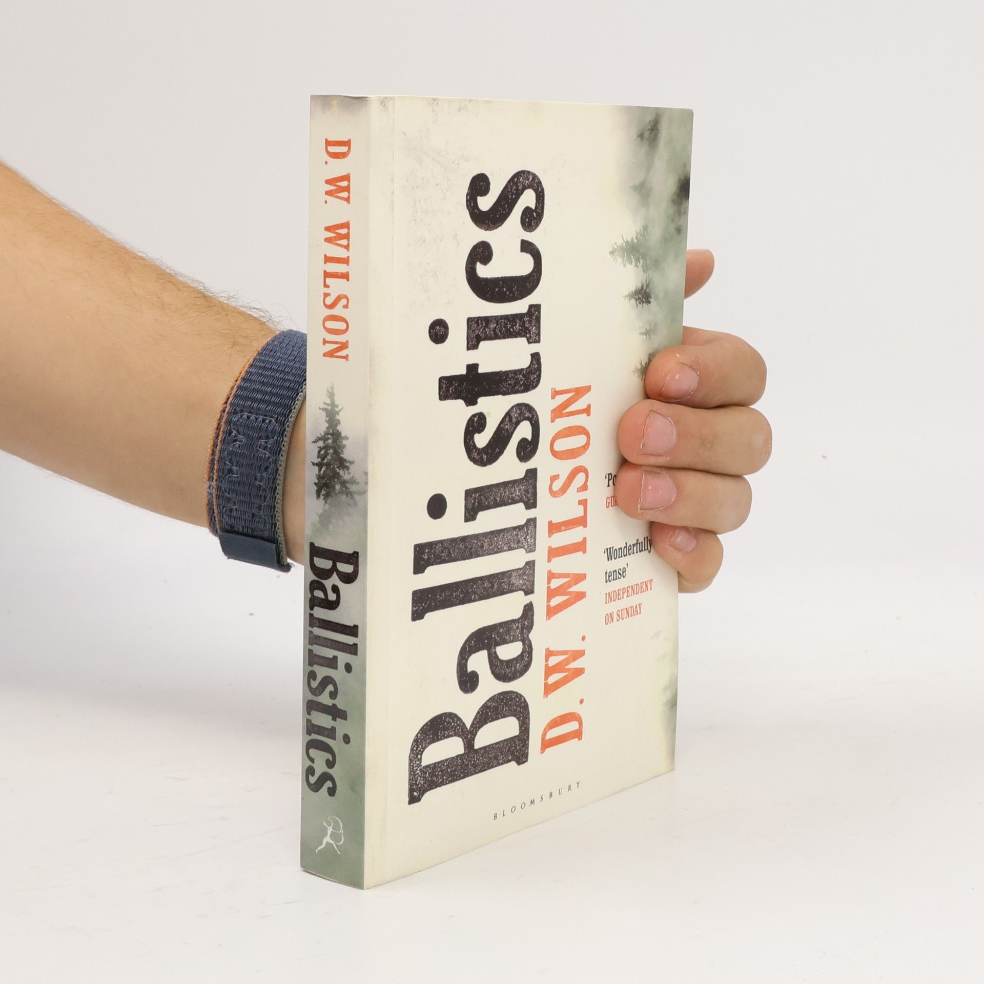 D. W. Wilson Ballistics