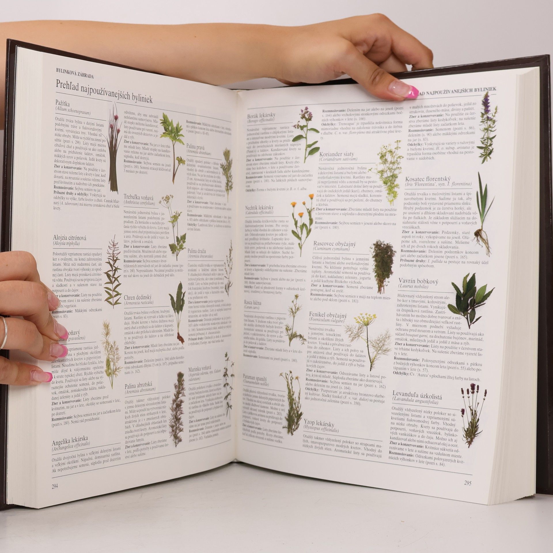 Various authors Veľká záhradkárska encyklopédia
