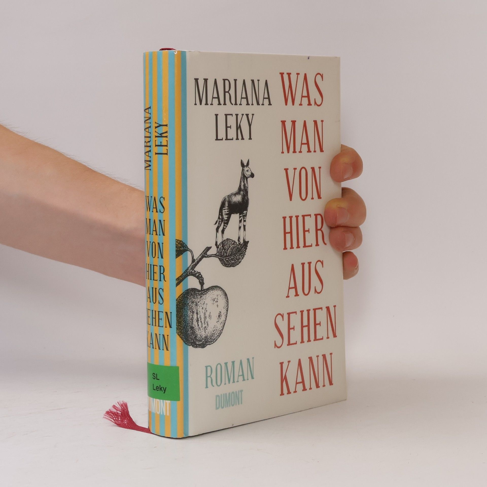 Mariana Leky Was man von hier aus sehen kann