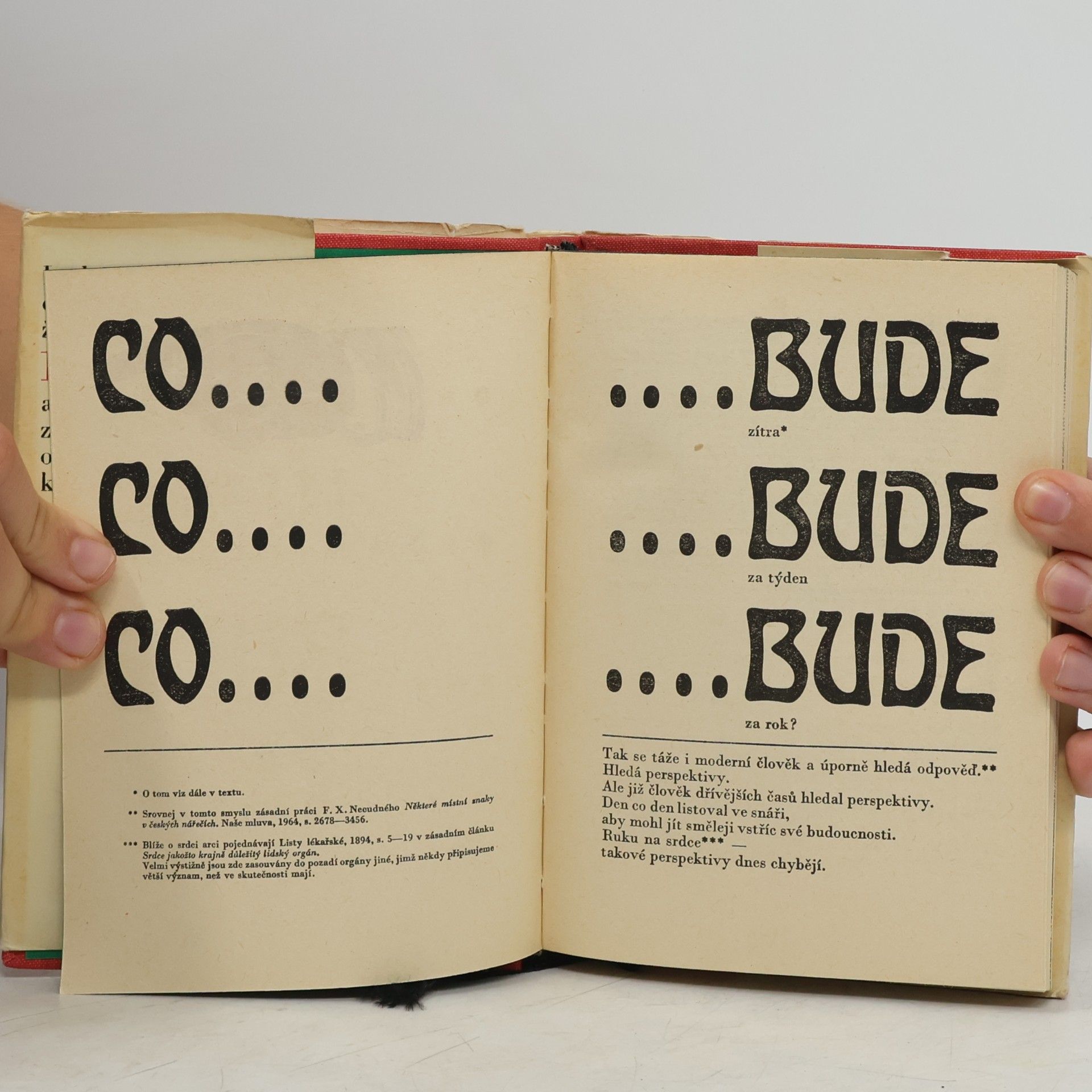 Collectif d'auteurs Snář