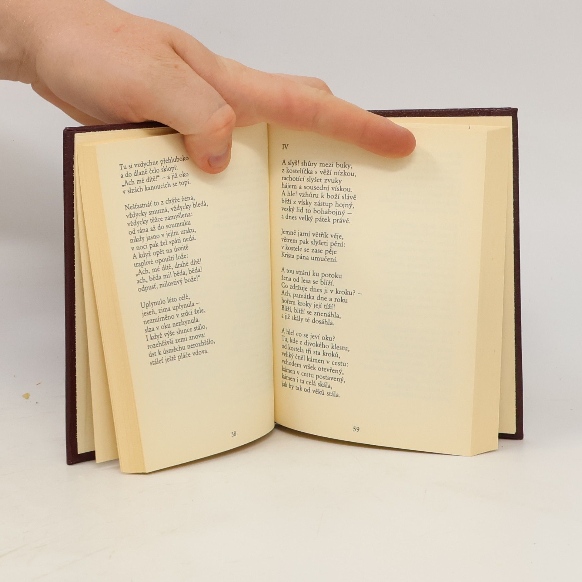 Karel Hynek Mácha To nejlepší z poezie 19. století: Máj, Kytice