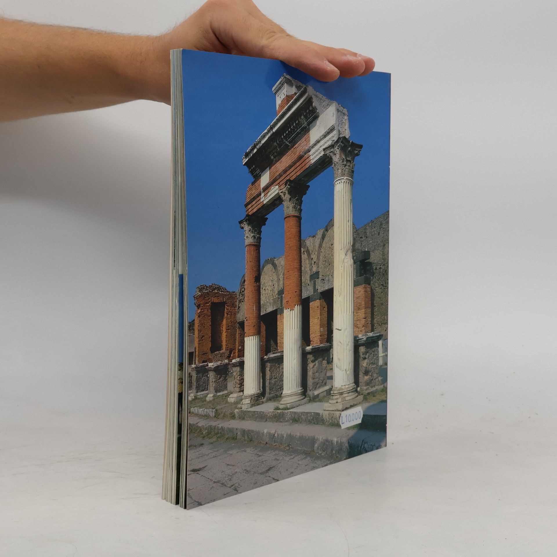 Stefano Giuntoli Art and History of Pompeii