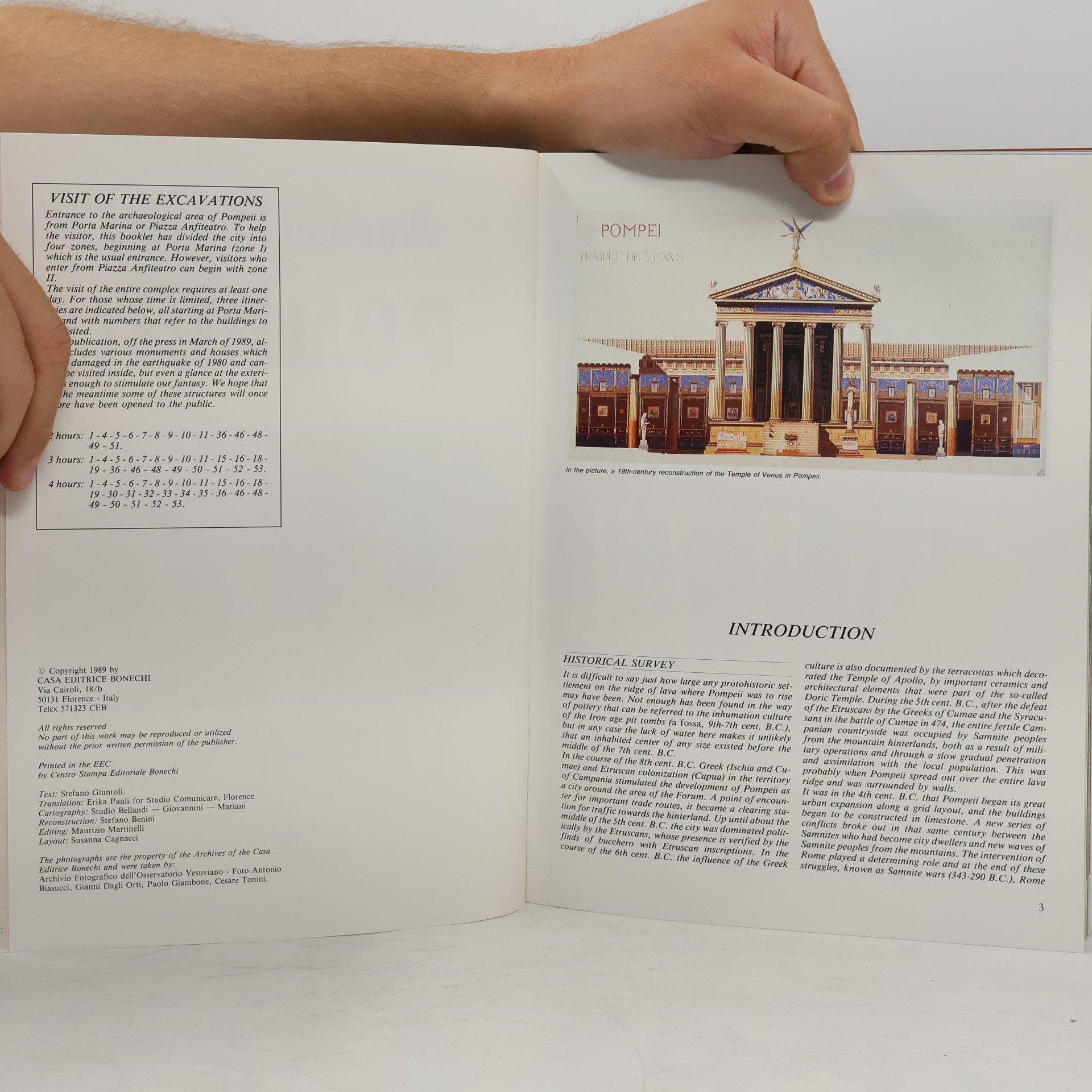 Stefano Giuntoli Art and History of Pompeii