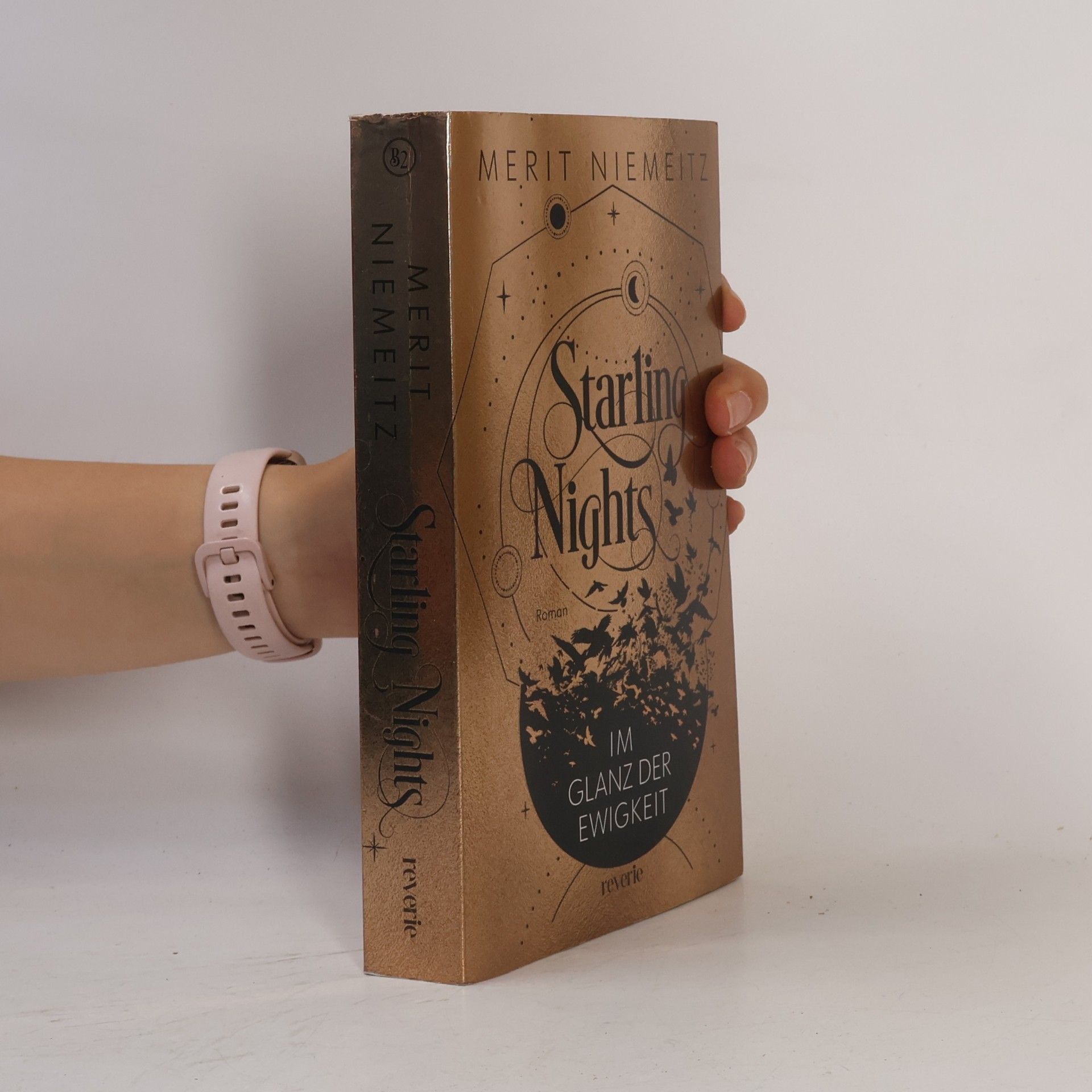 Merit Niemeitz Starling Nights 2