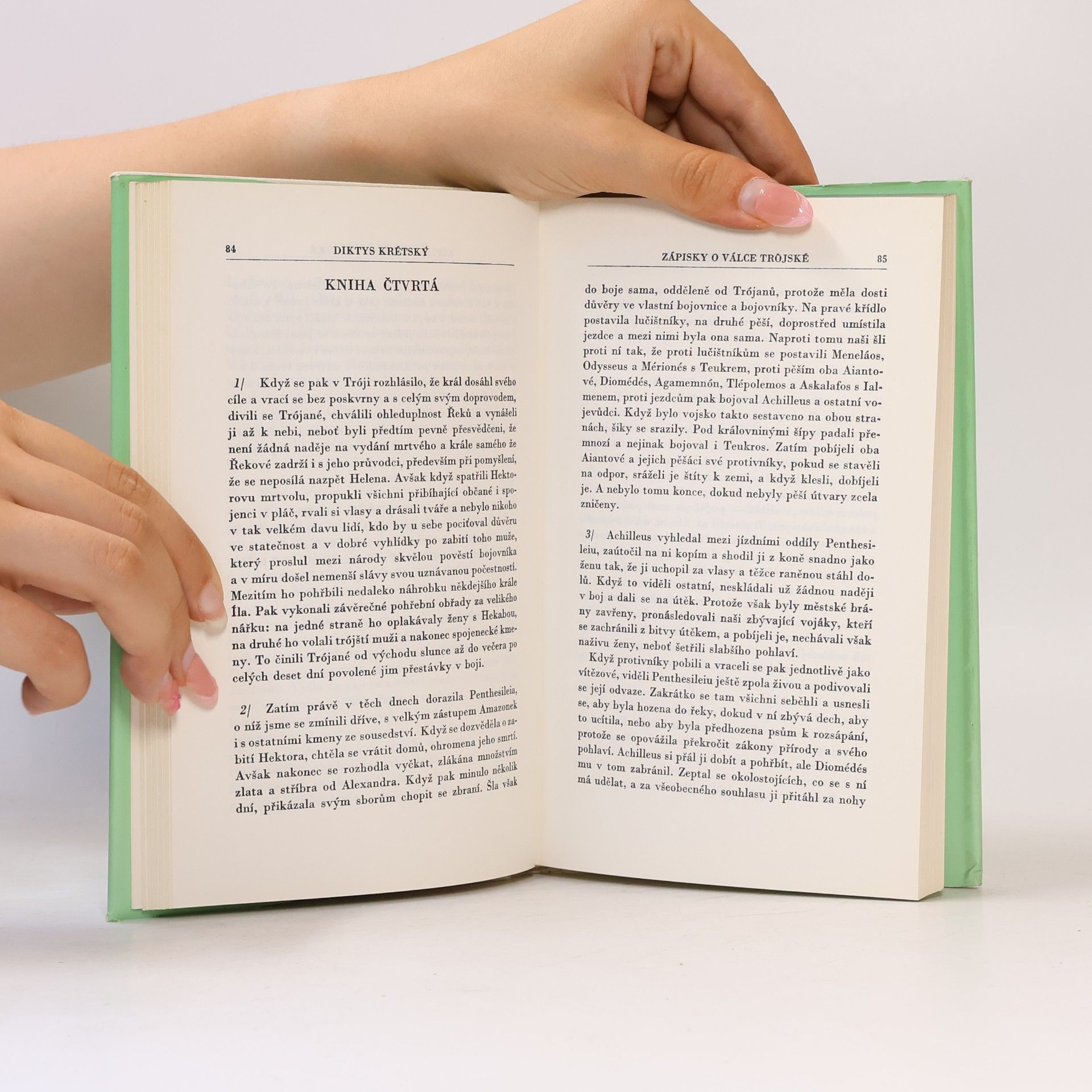 Autorenkollektiv Homérští hrdinové ve vzpomínkách věků