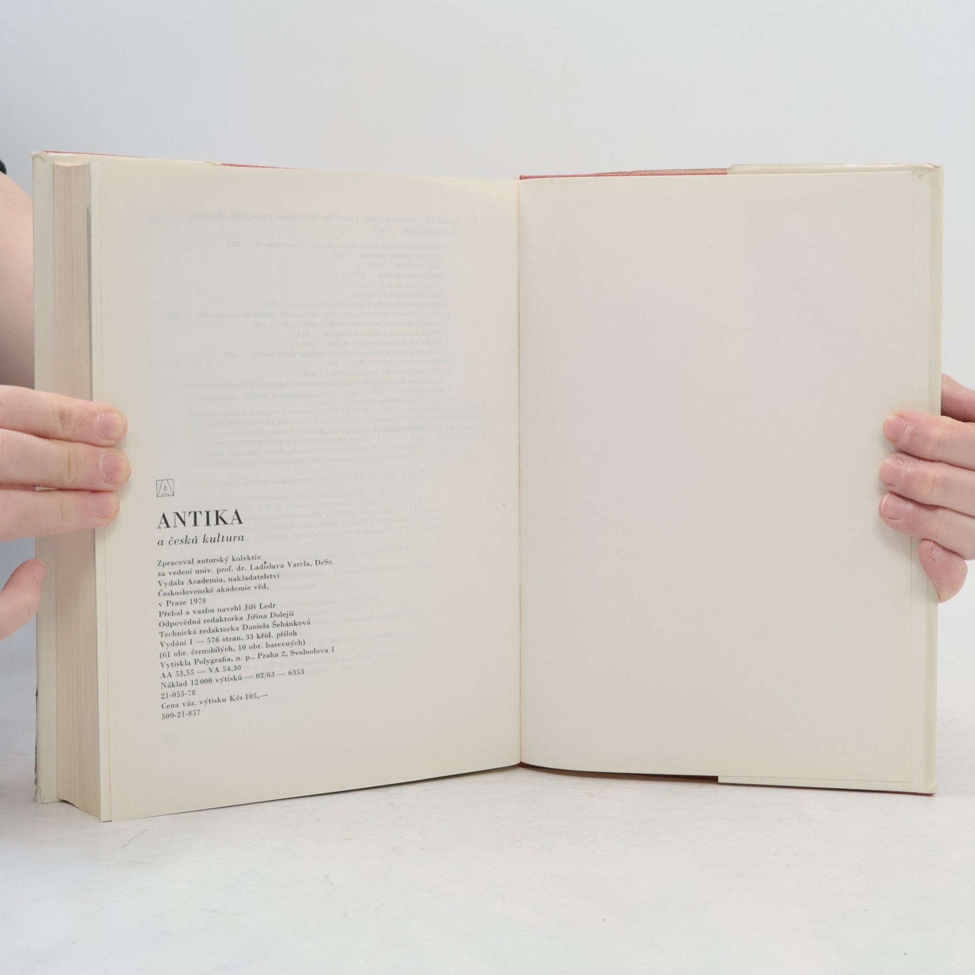 Kolektiv autorů Antika a česká kultura