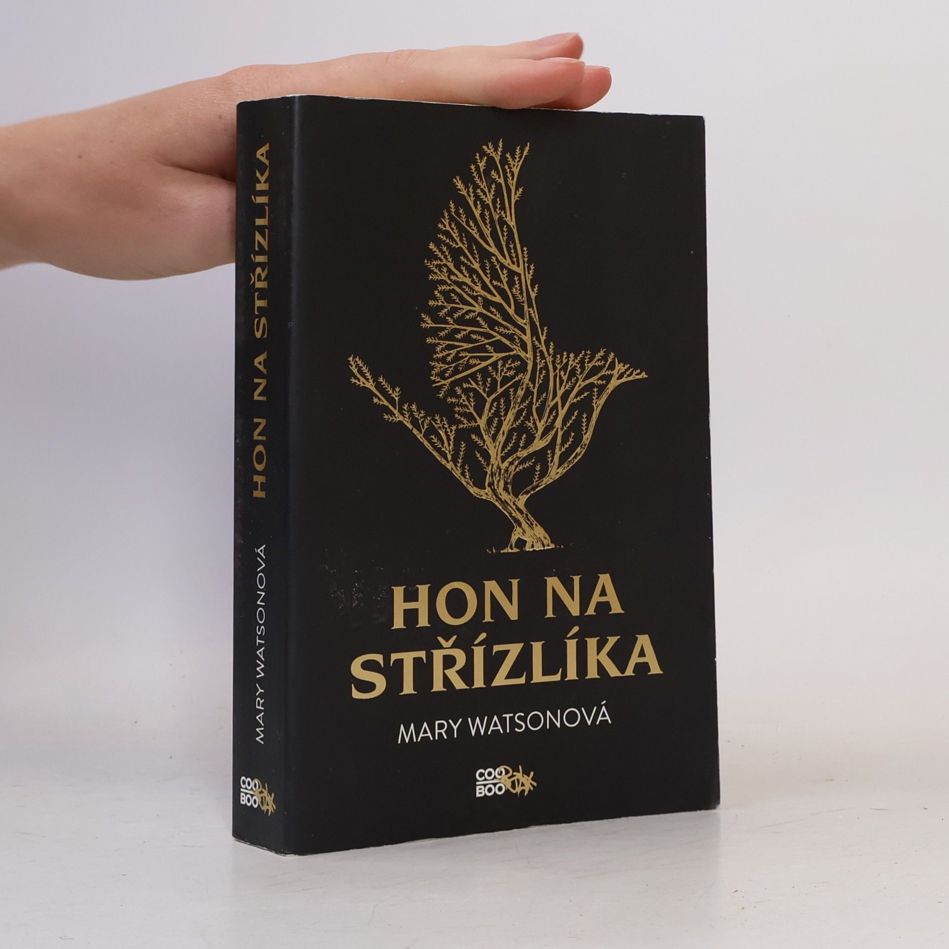 Mary Watson Hon na střízlíka
