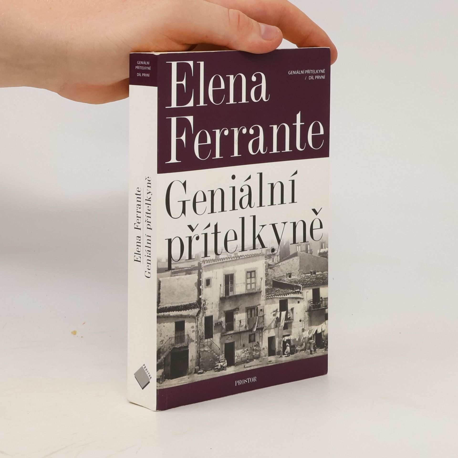 Elena Ferrante Geniální přítelkyně 1. Dětství a dospívání