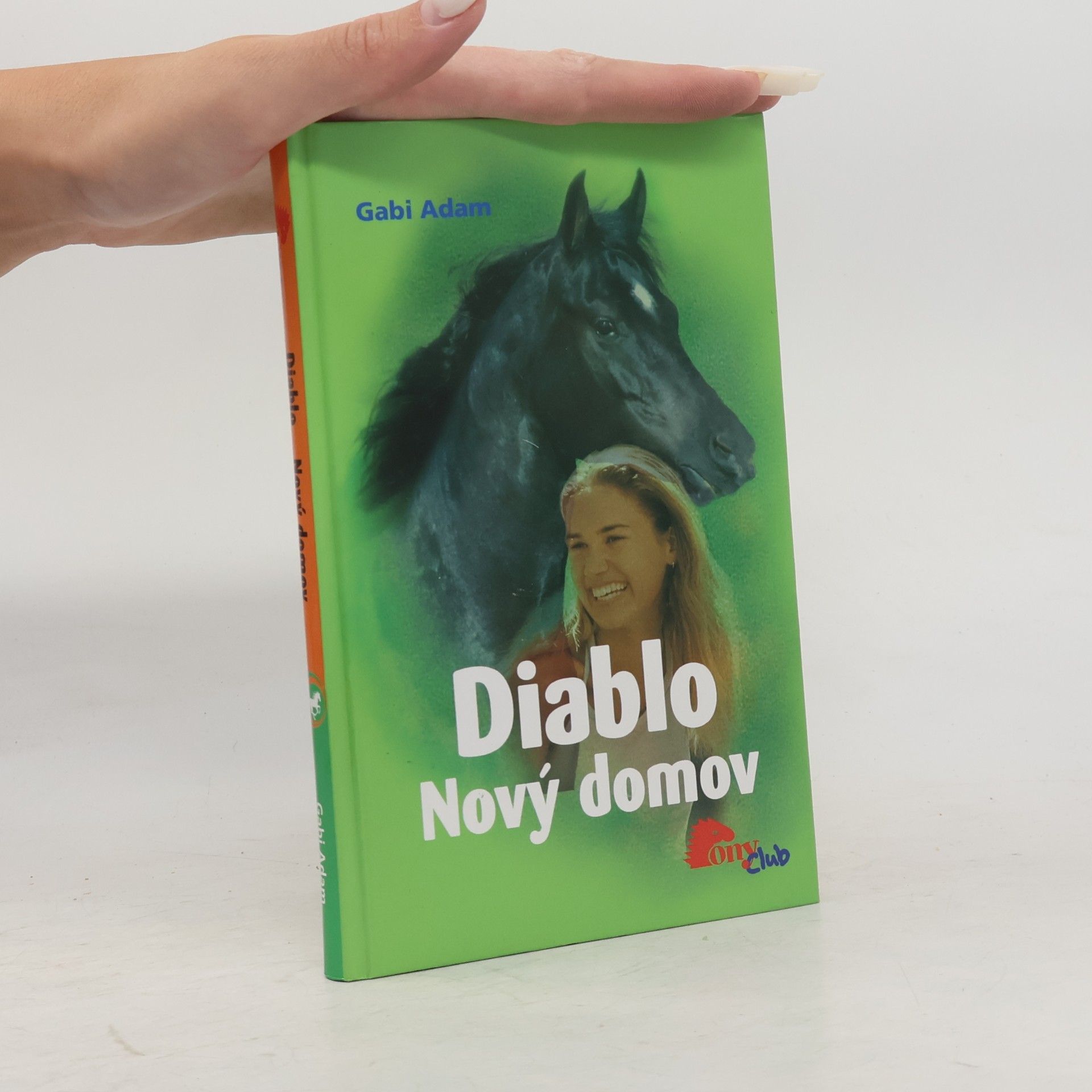 Gabi Adam Nový domov. Diablo 3
