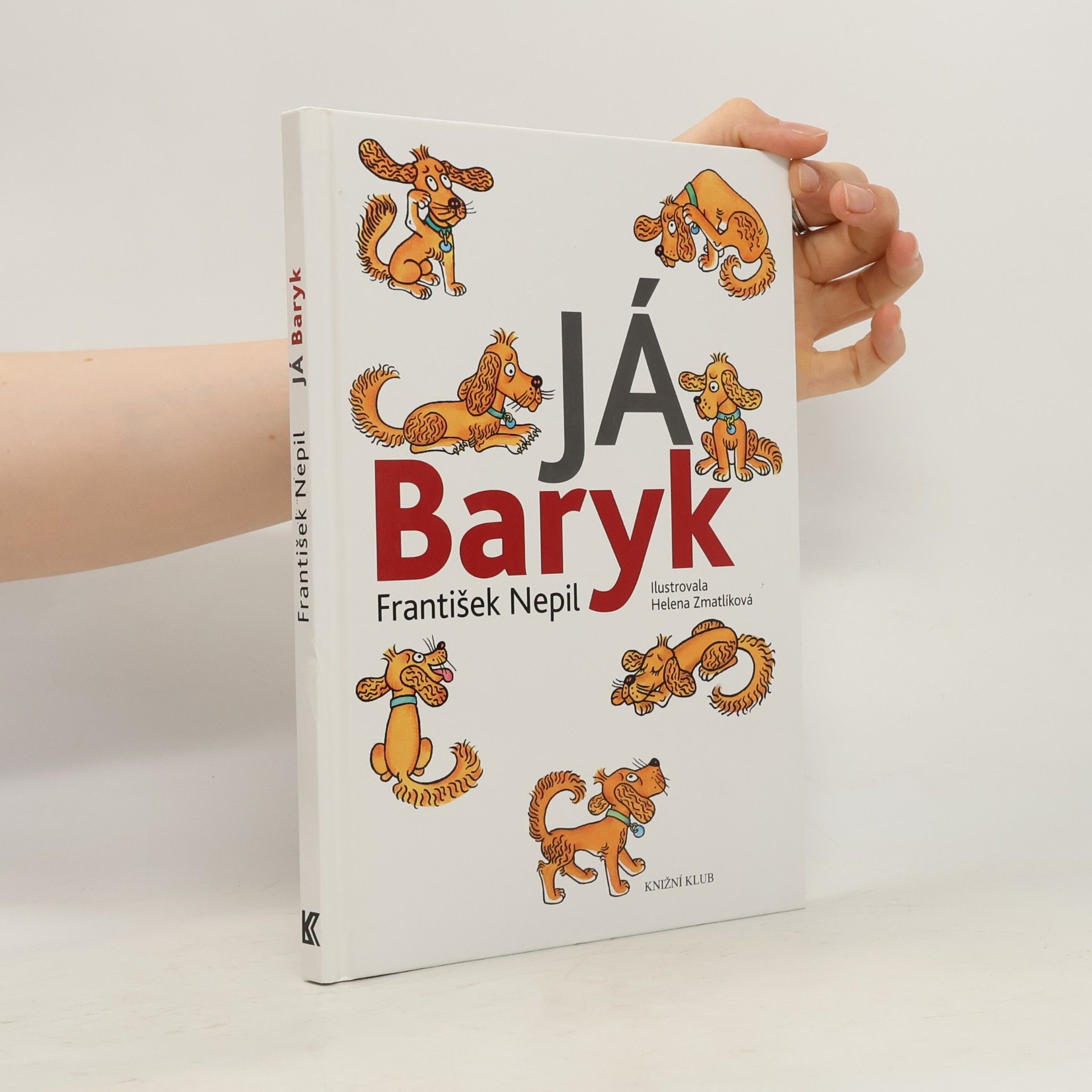 František Nepil Já, Baryk
