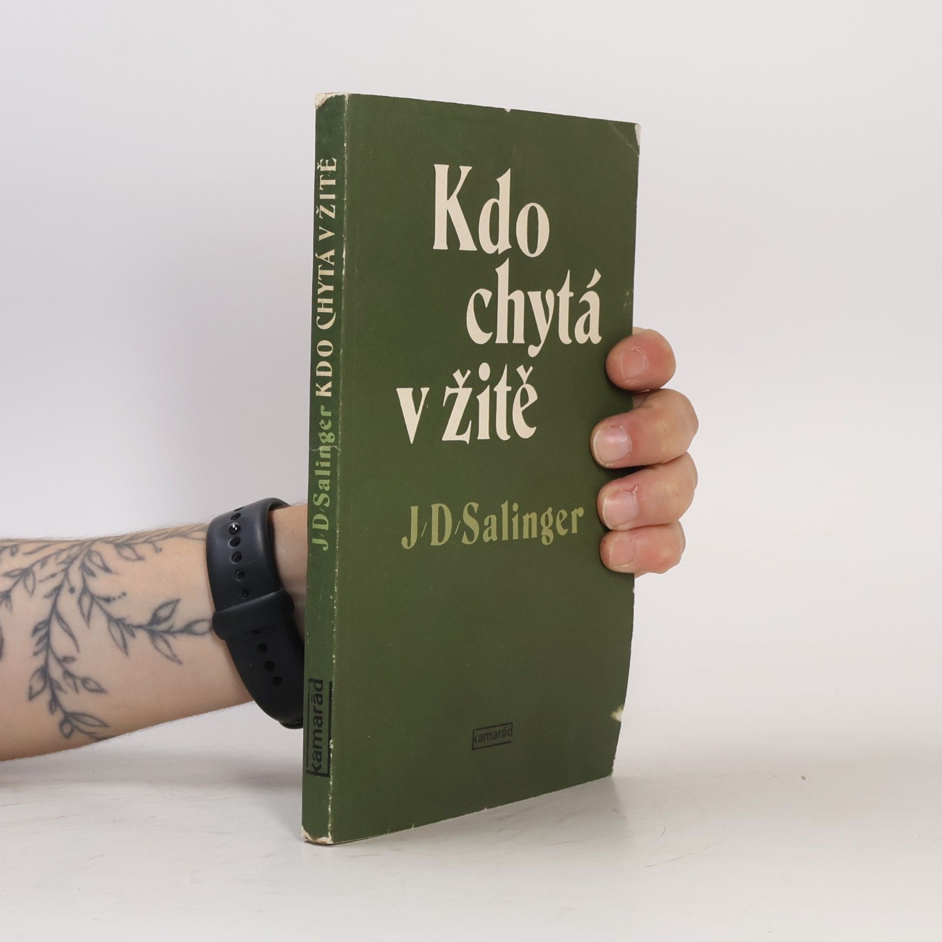 J. D. Salinger Kdo chytá v žitě