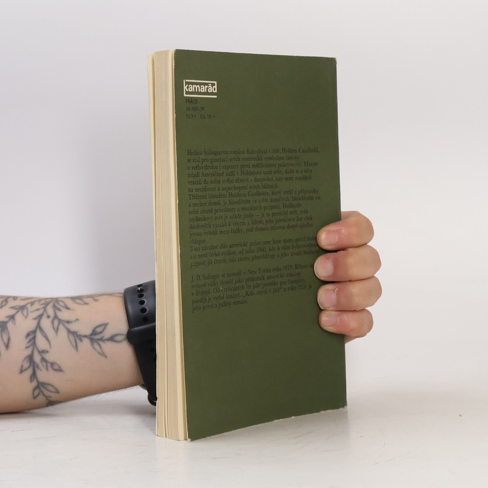 J. D. Salinger Kdo chytá v žitě